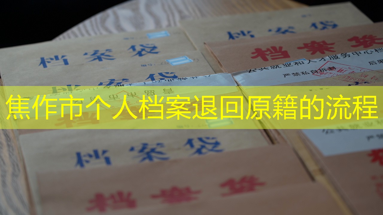 档案查询