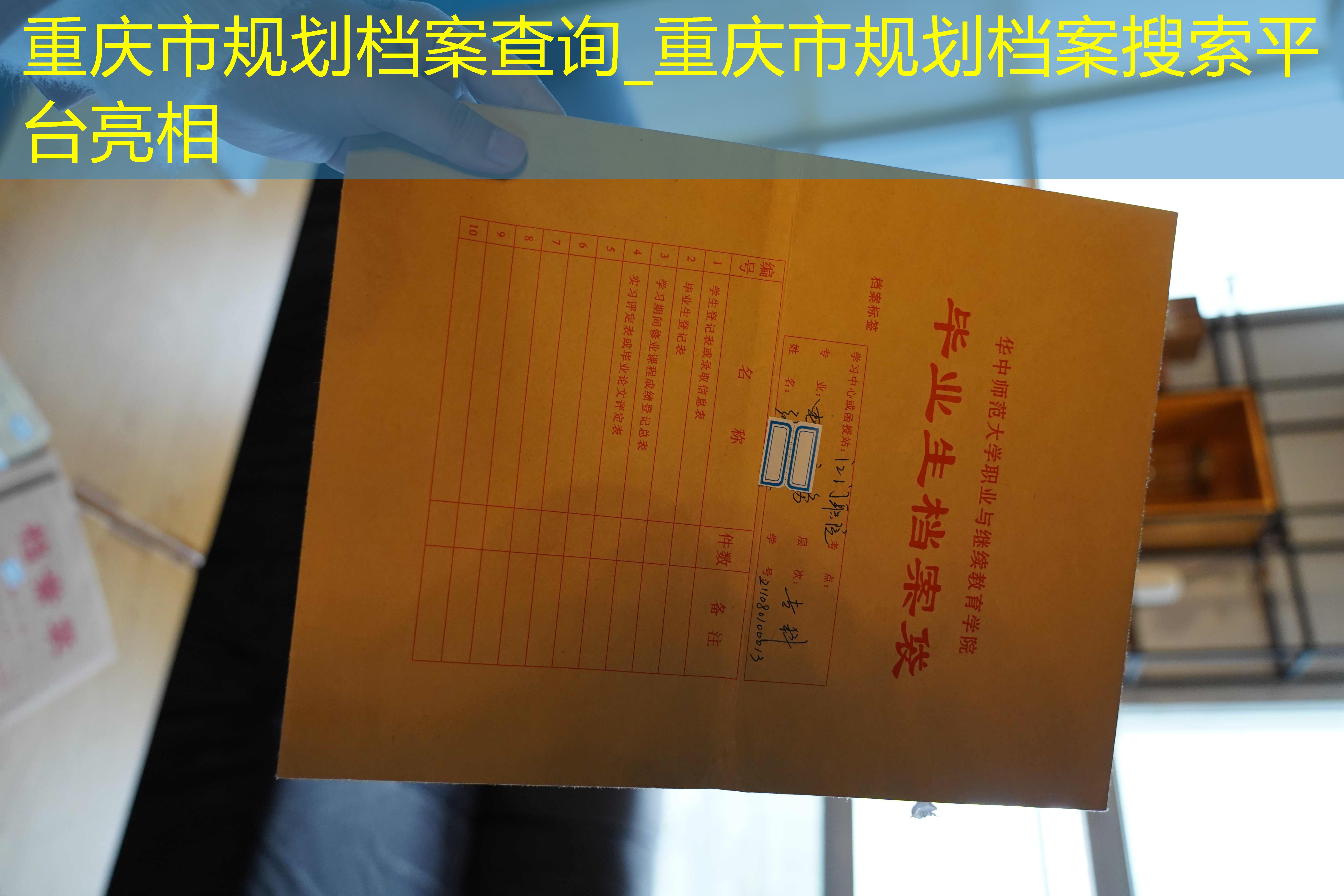 档案查询