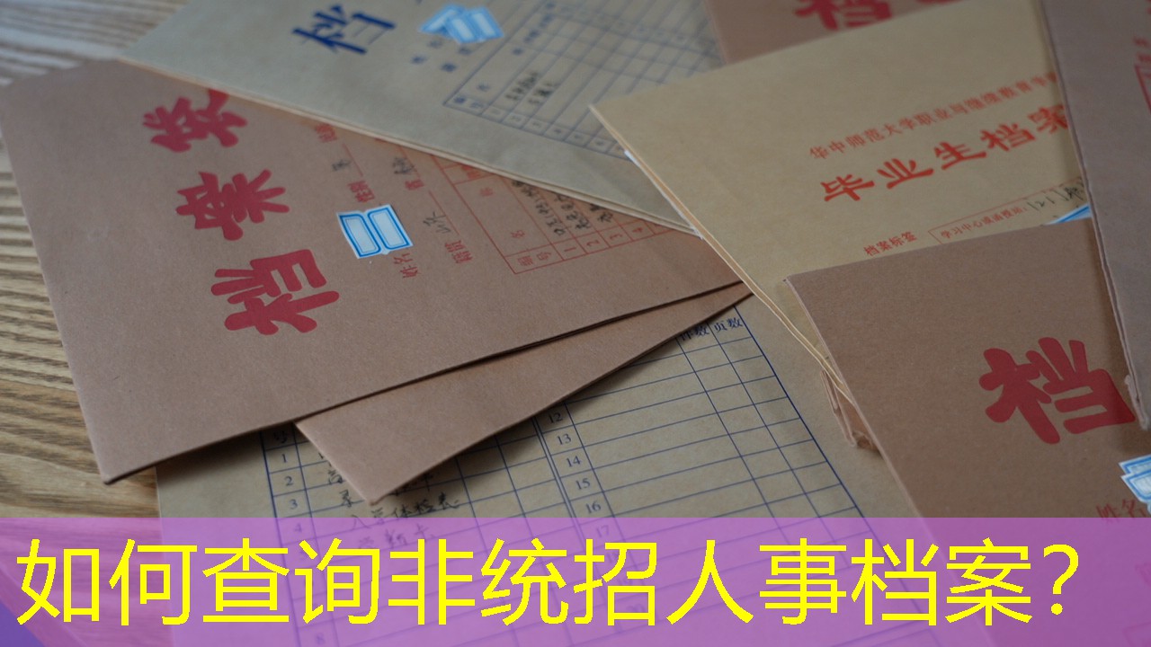 档案查询
