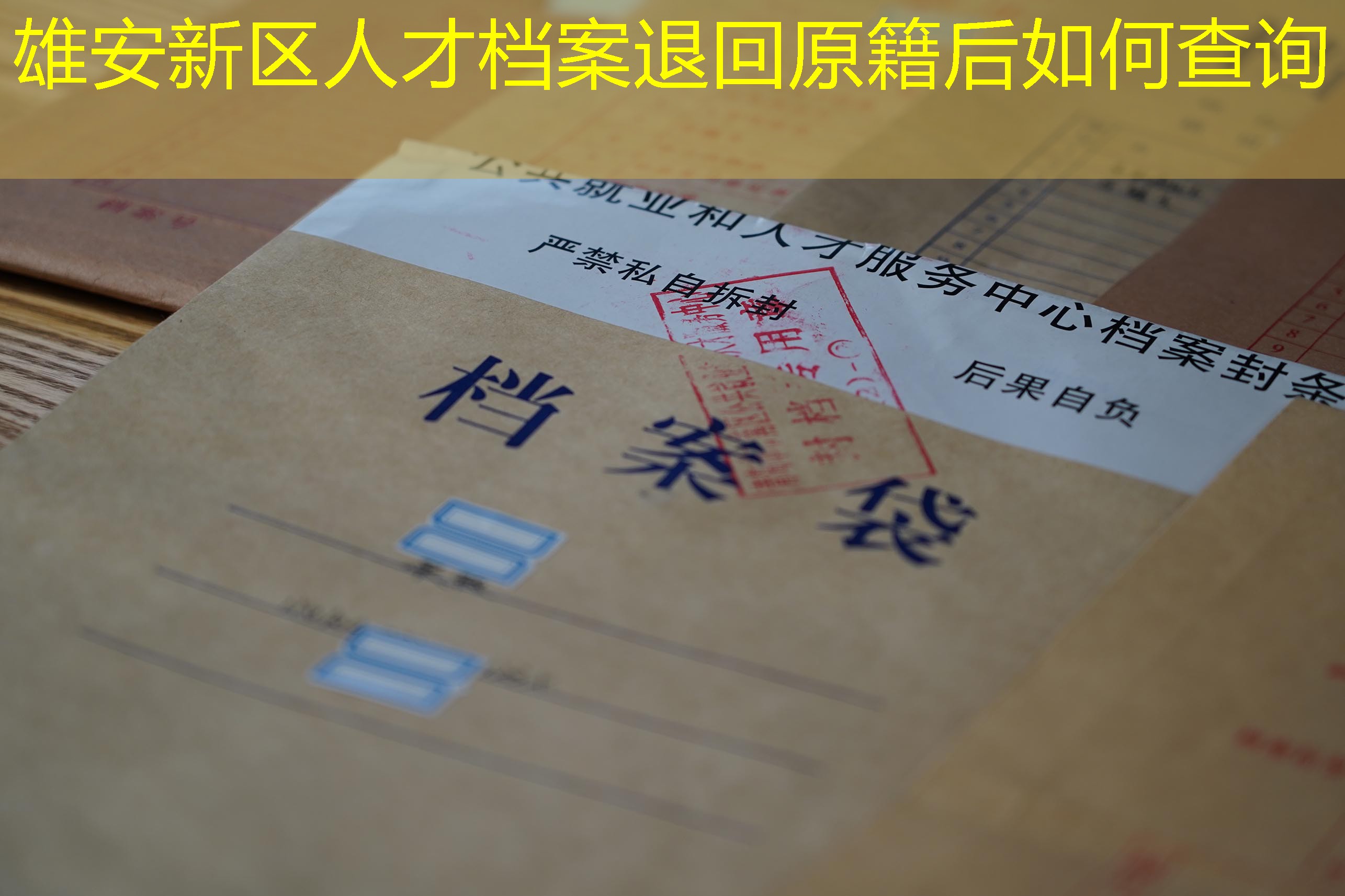 档案查询