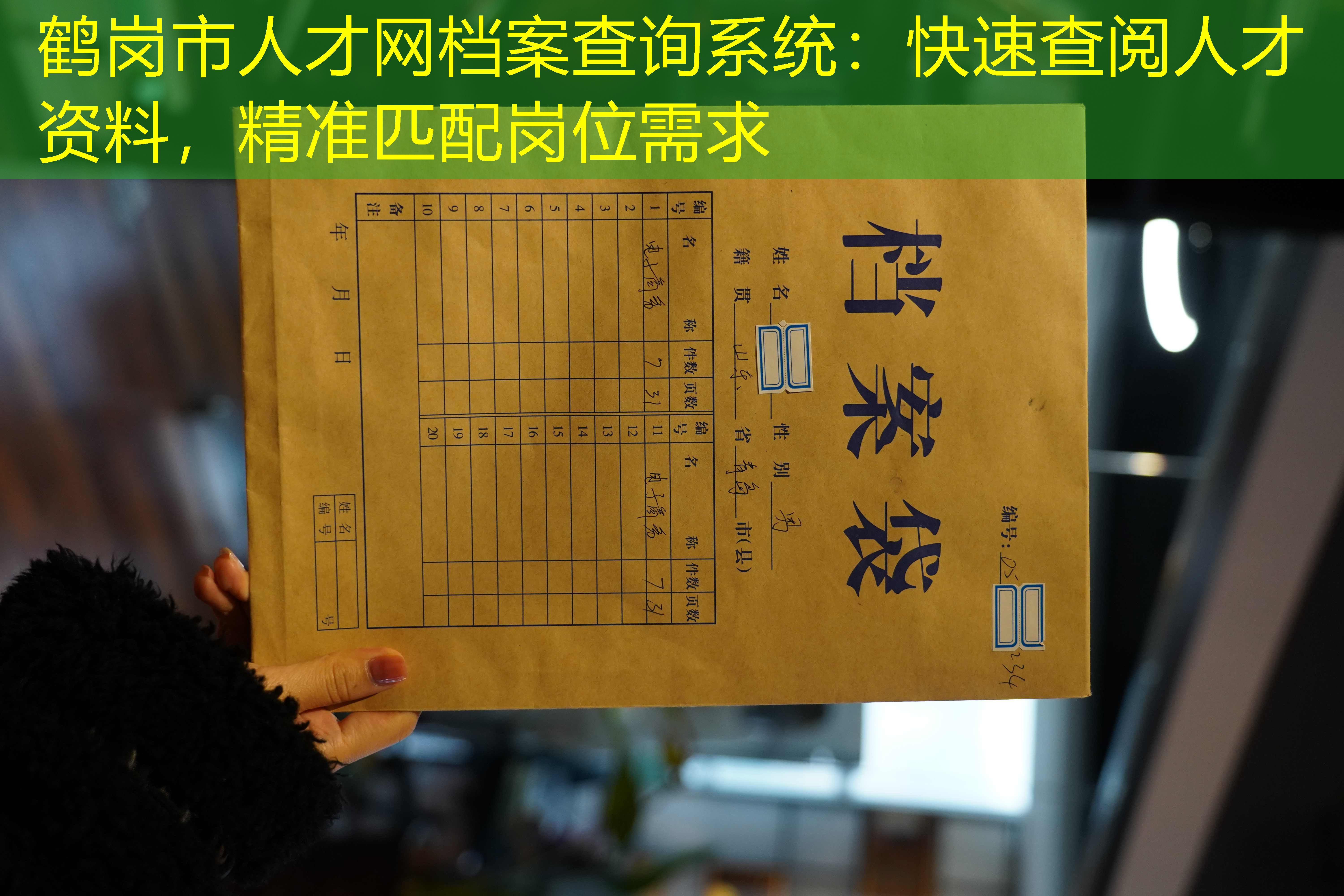 档案查询