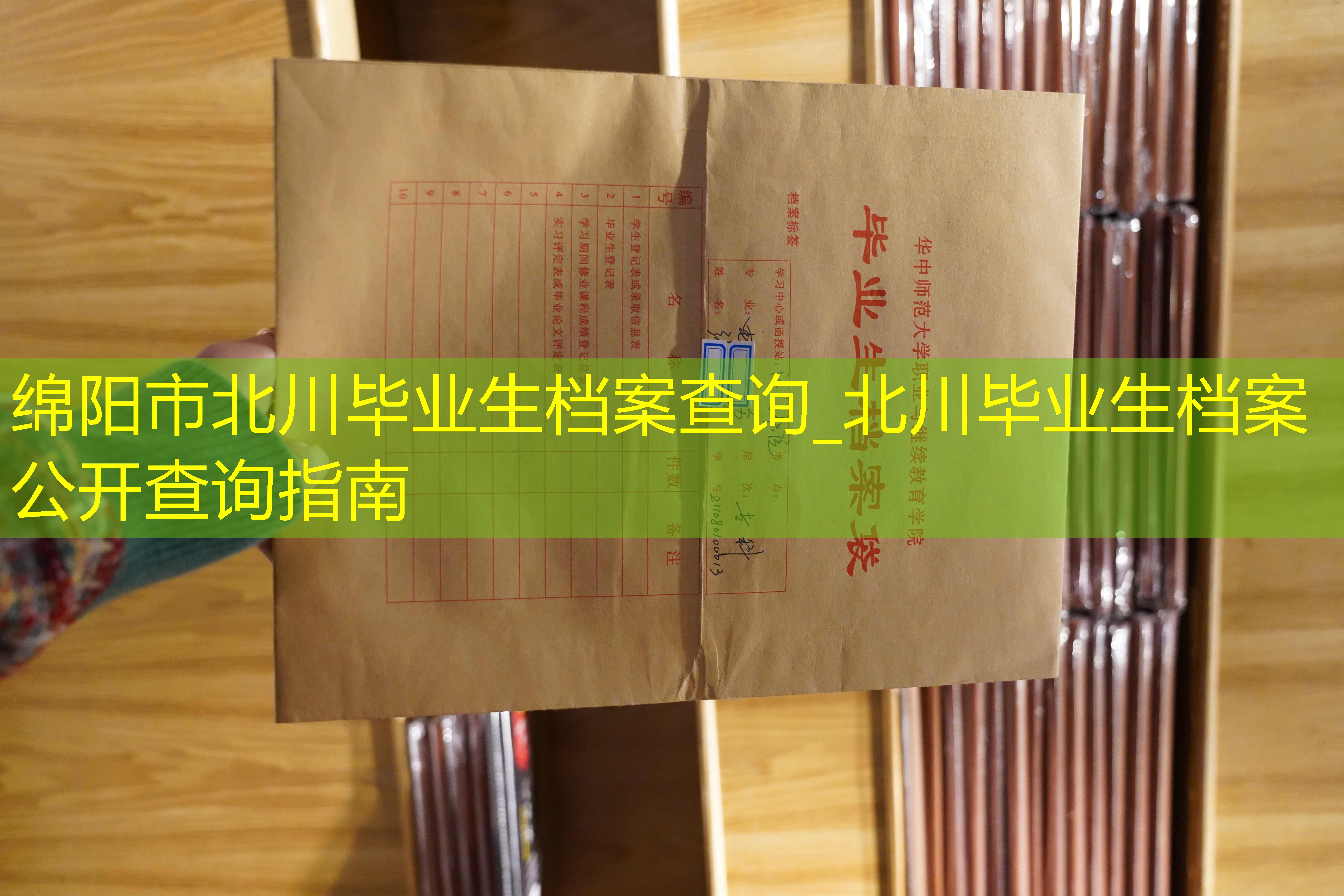 档案查询