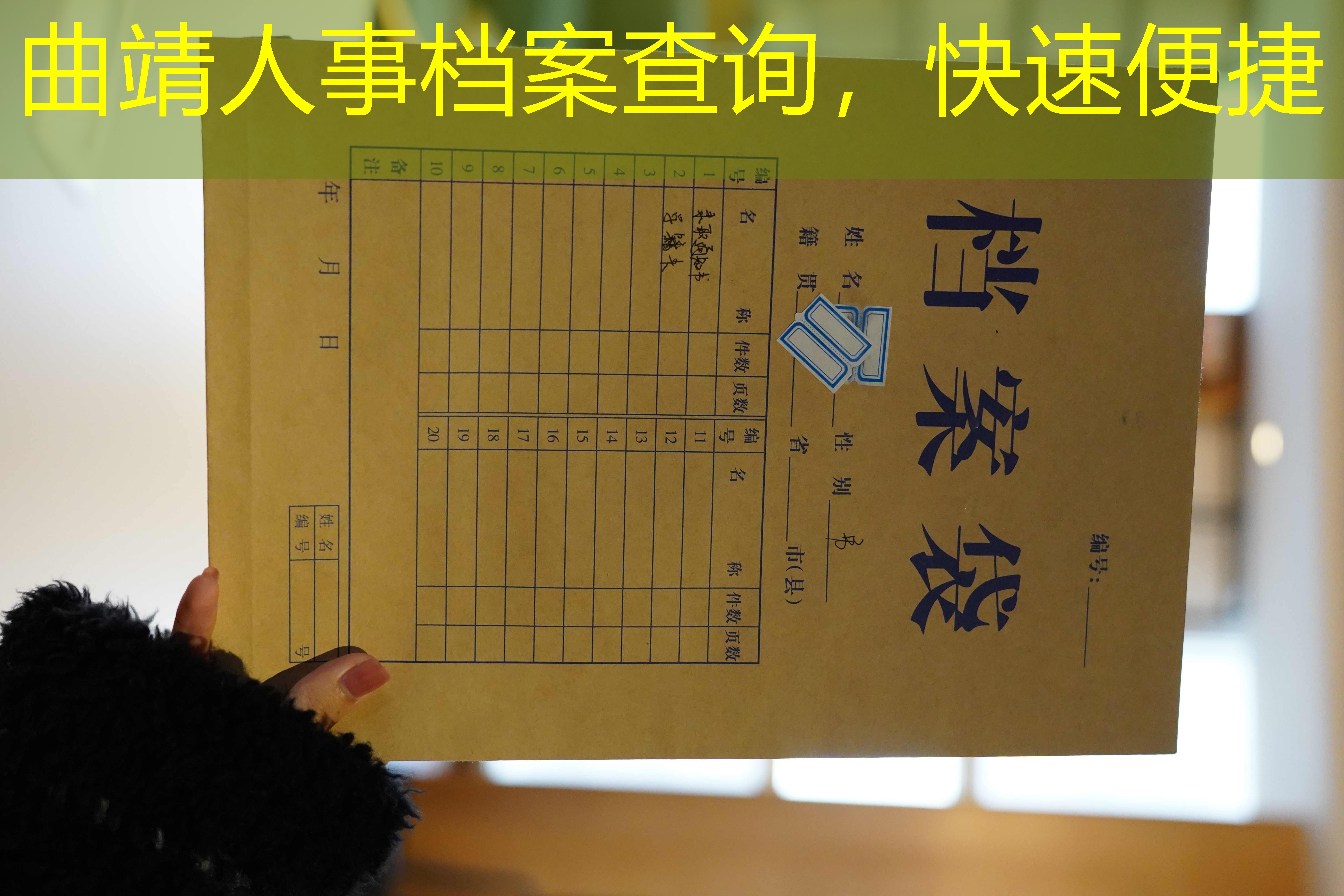 档案查询