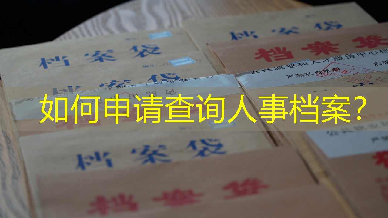 档案查询