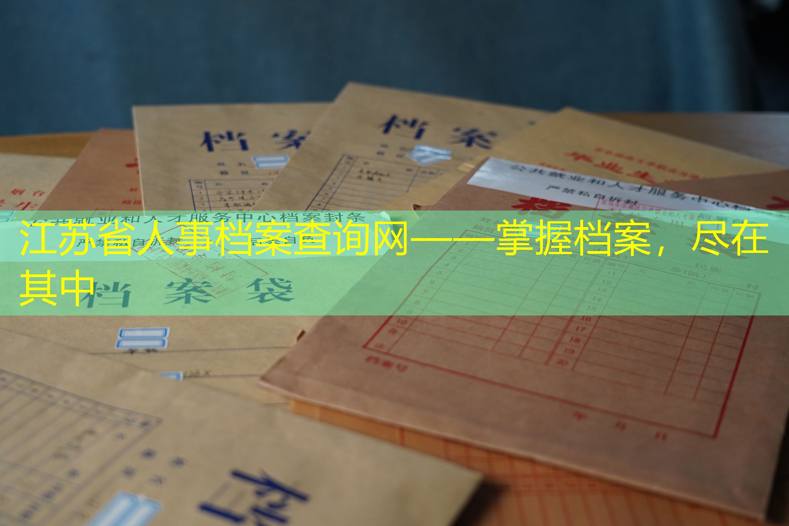 档案查询