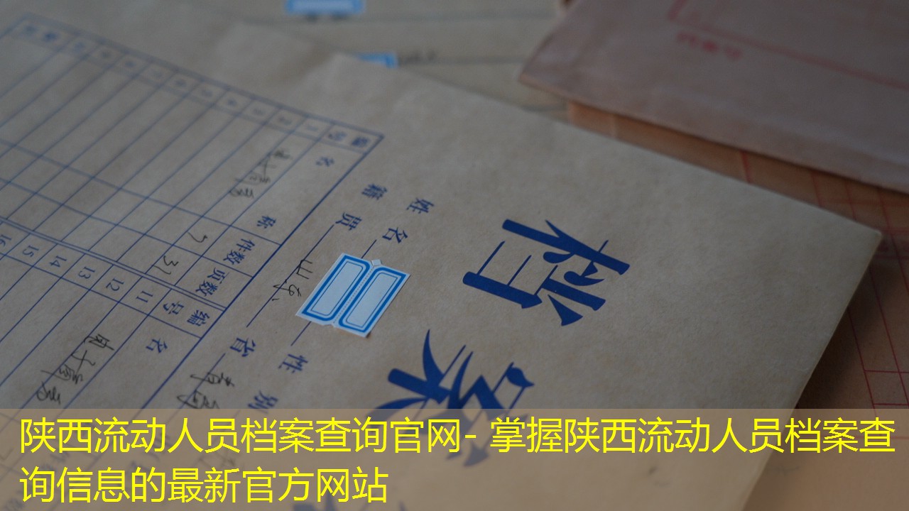 档案查询