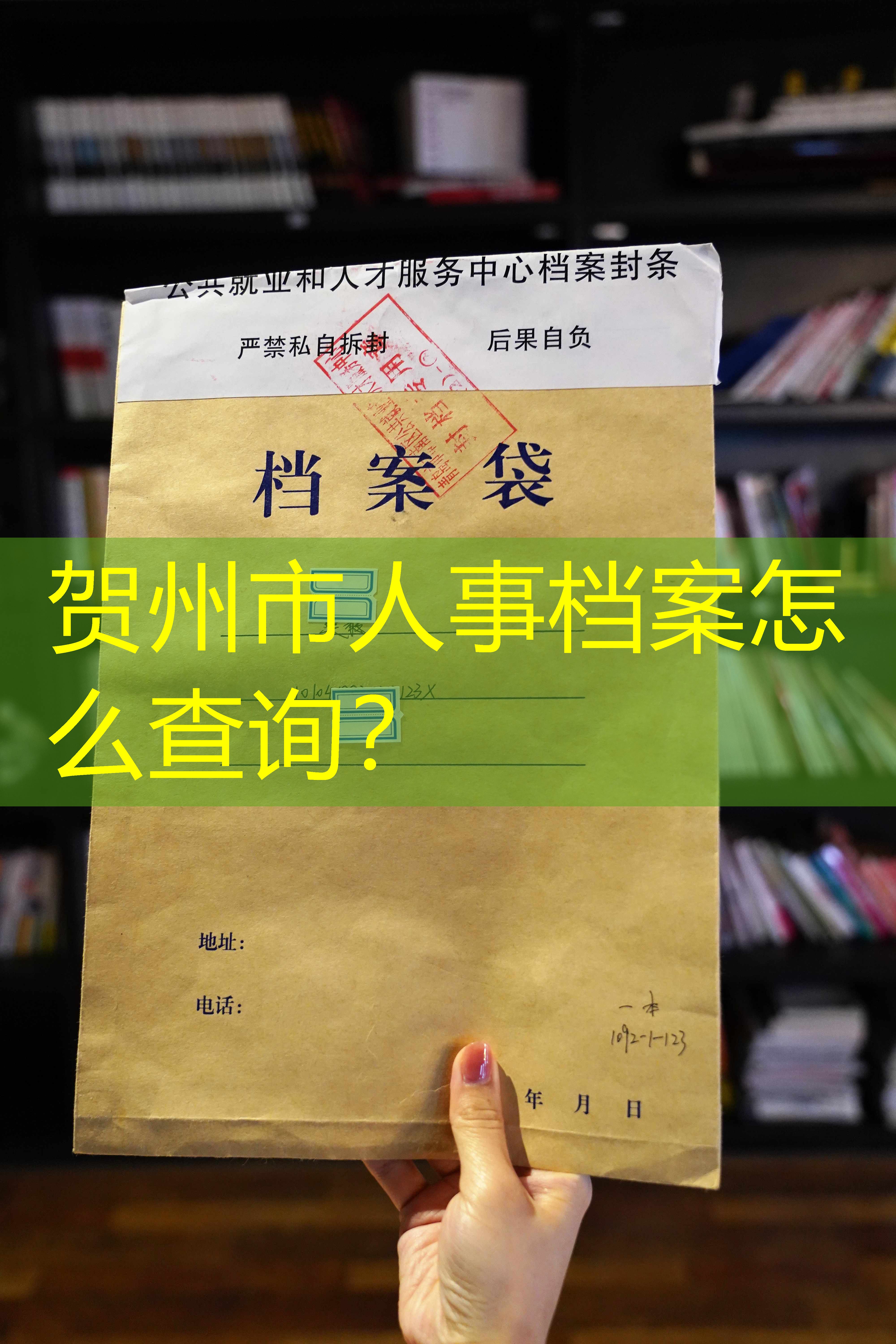 档案查询