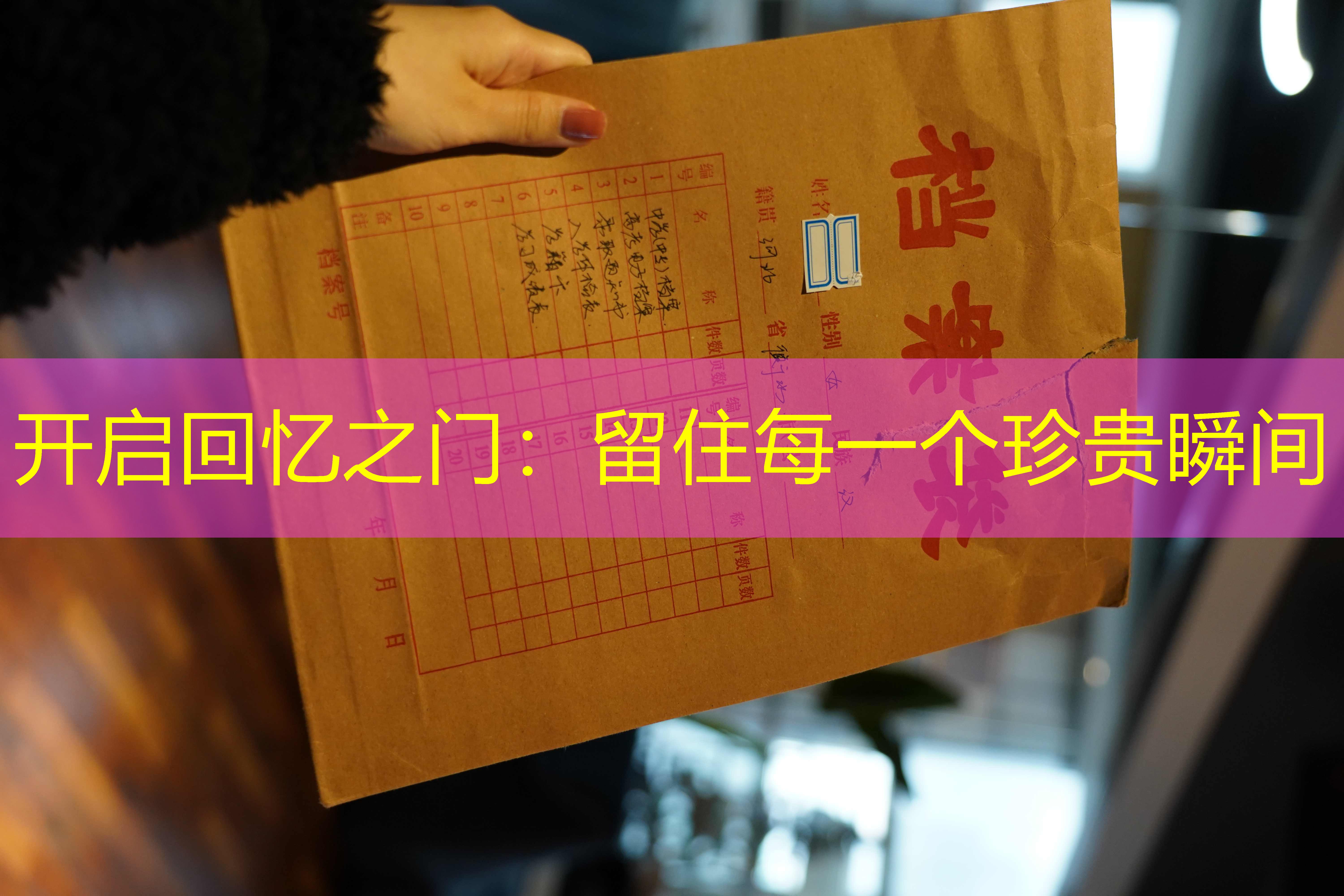 档案查询
