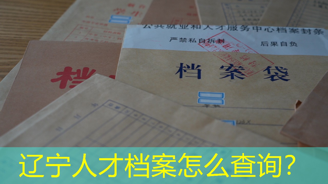 档案查询