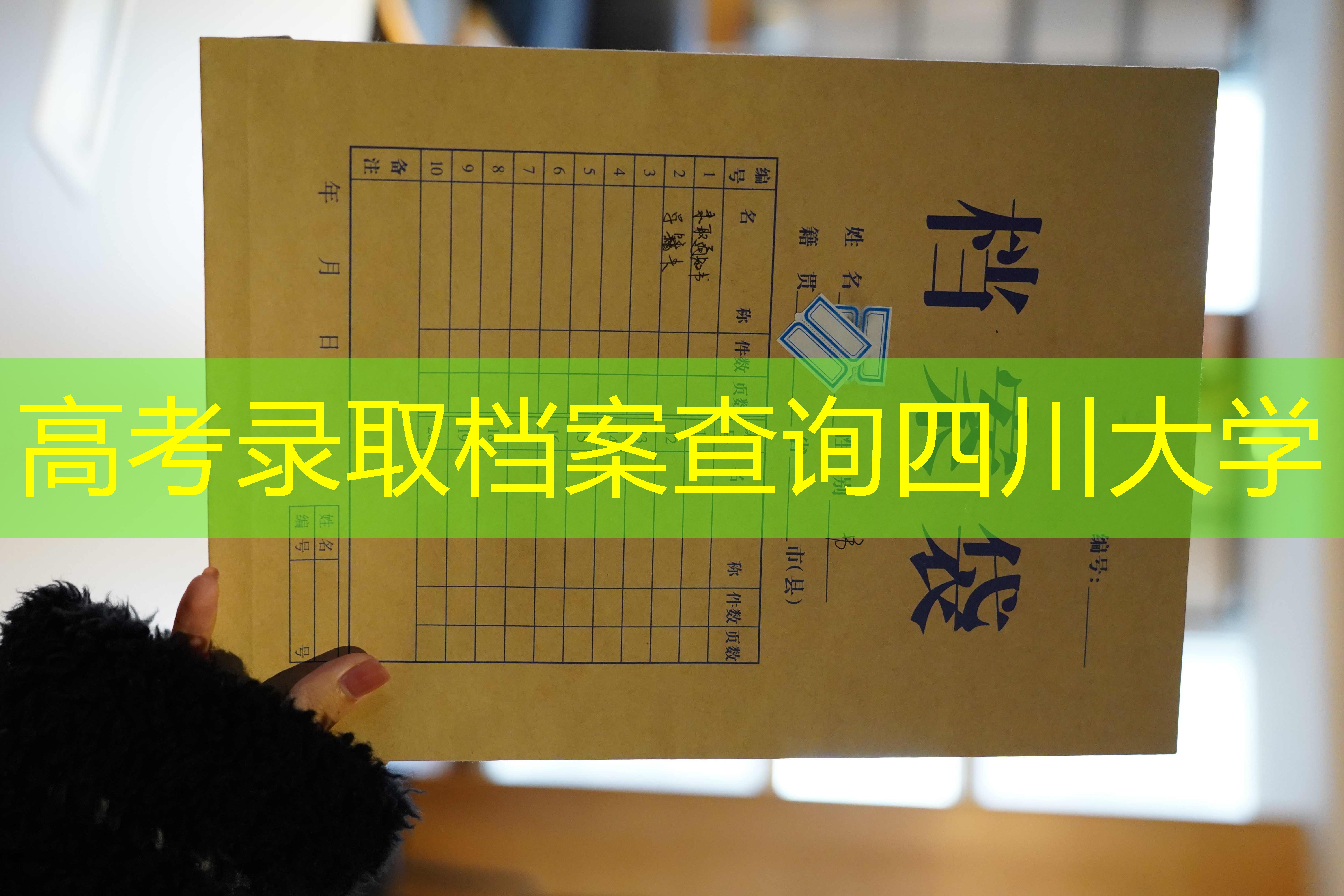 档案查询