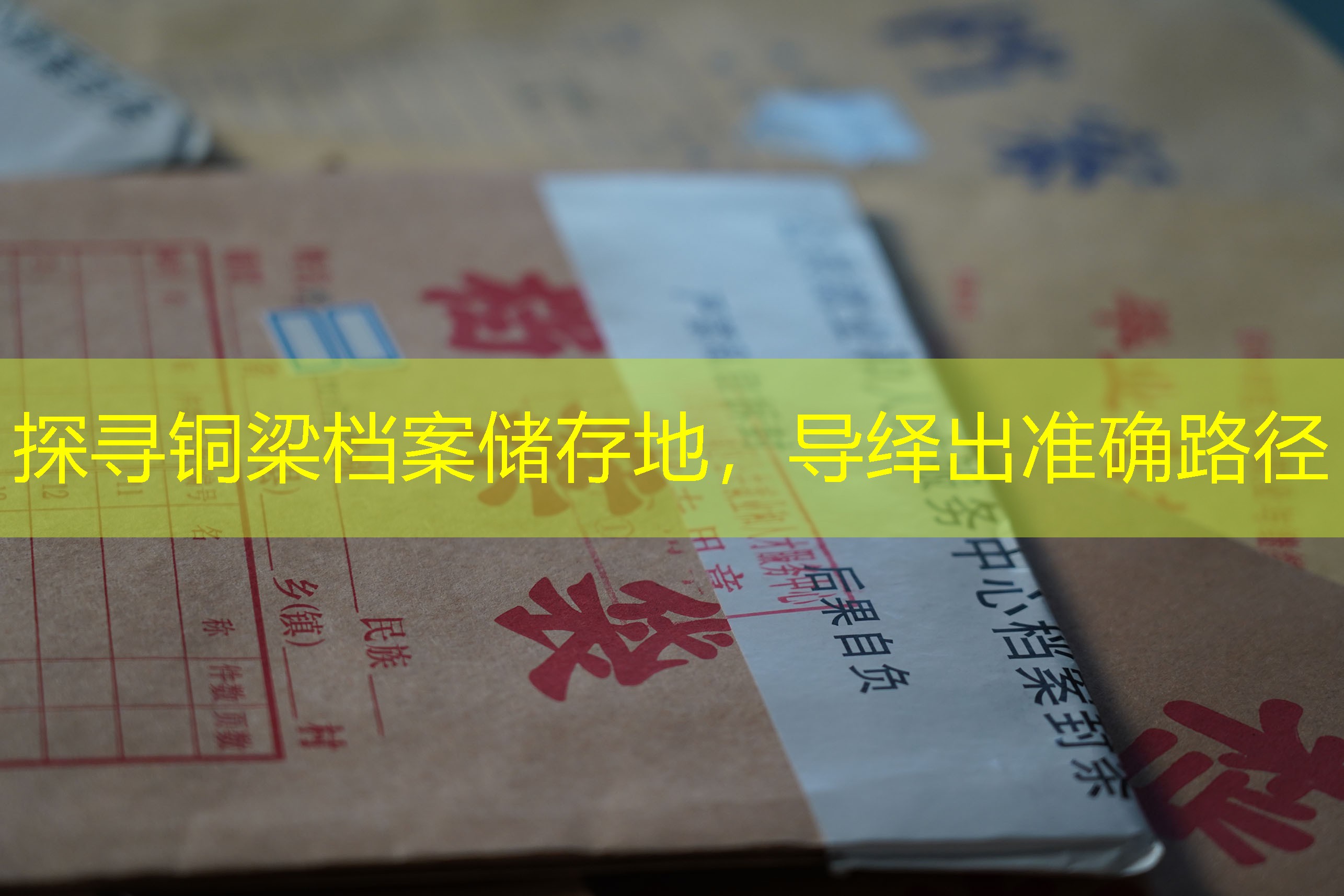 档案查询