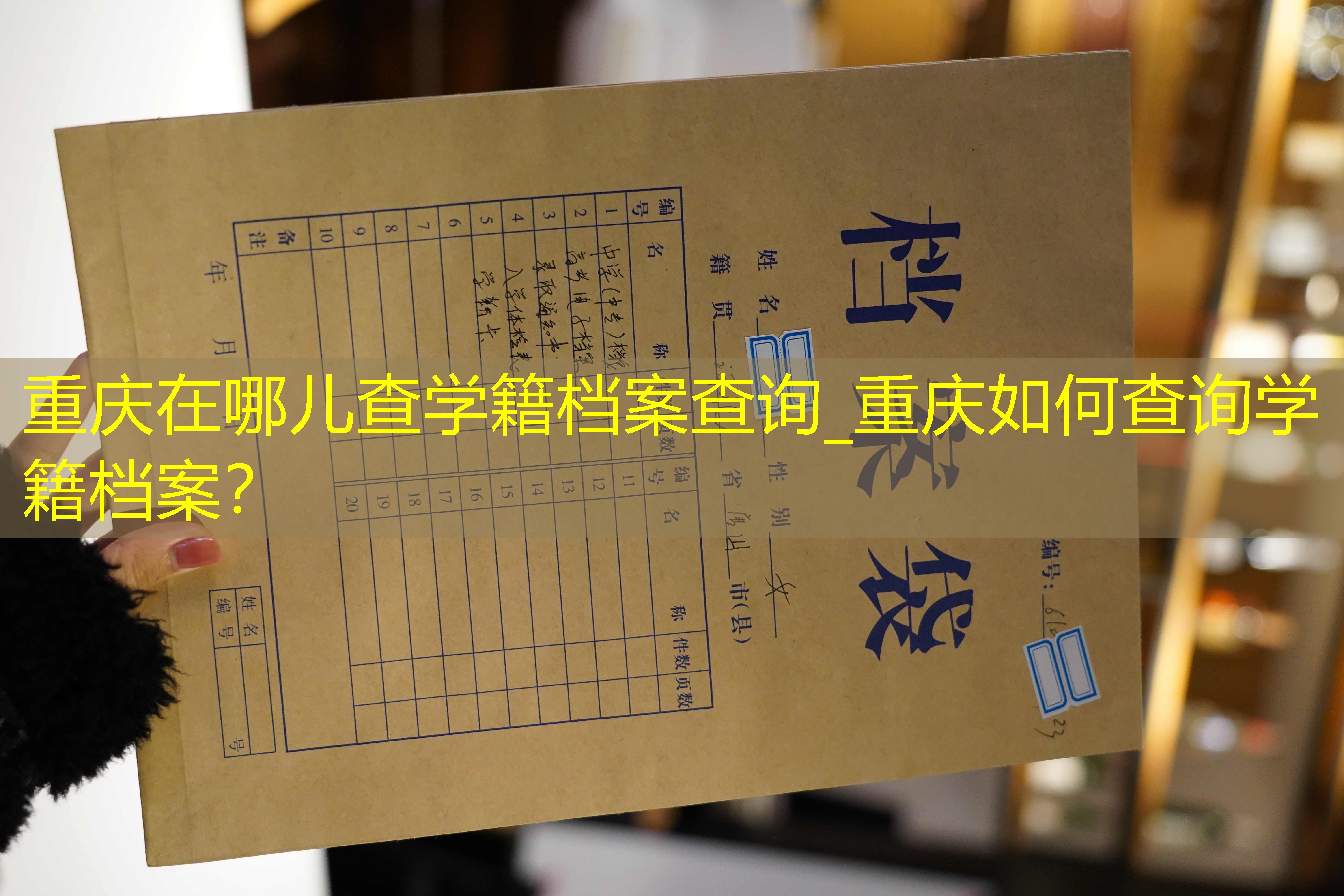 档案查询