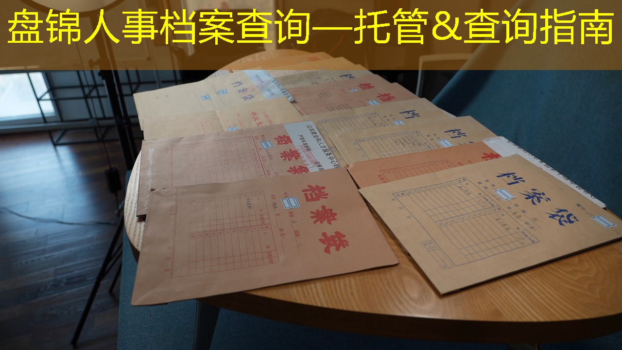 档案查询