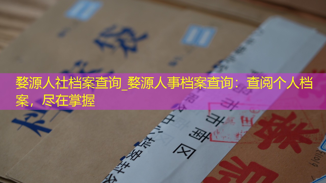 档案查询