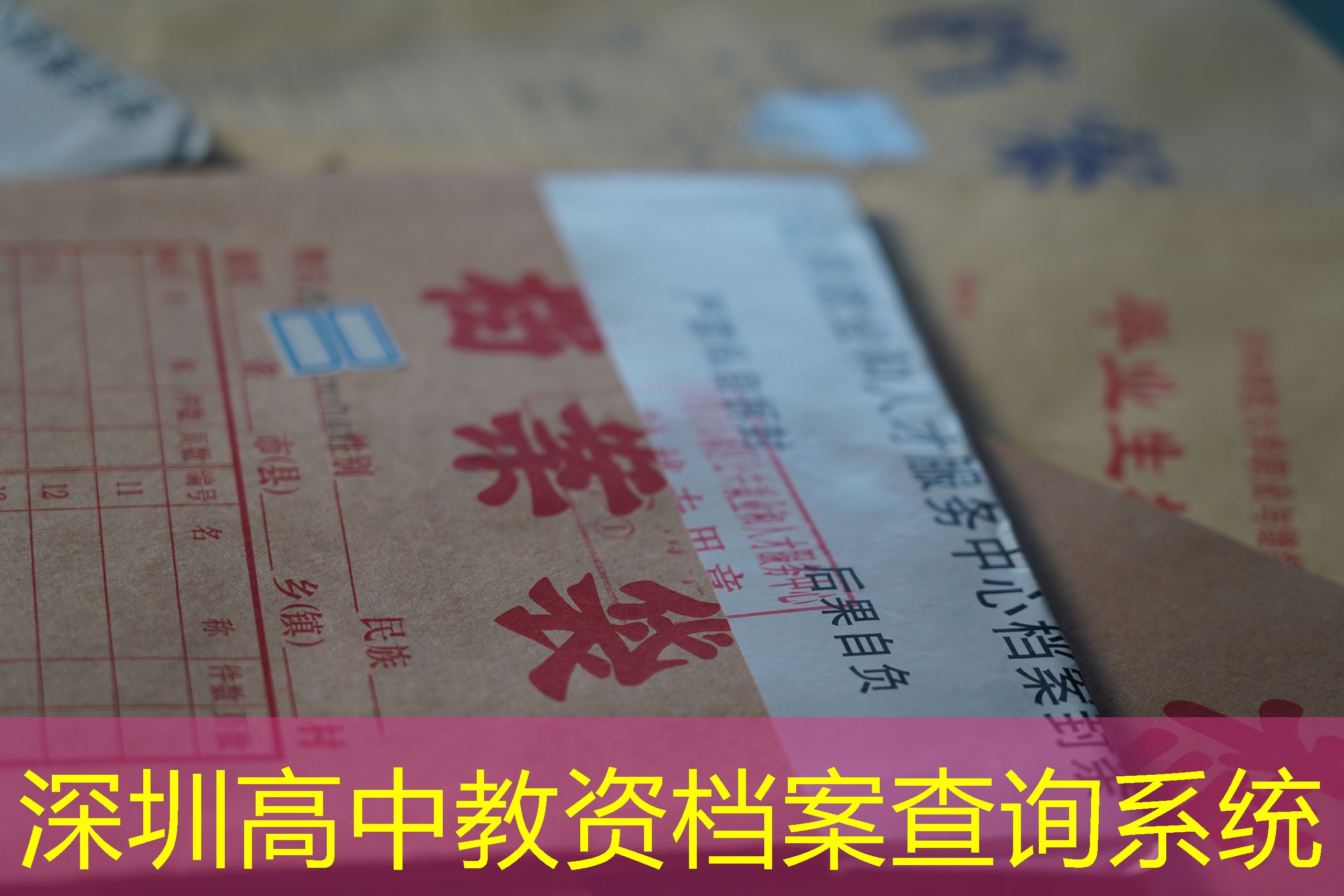 档案查询