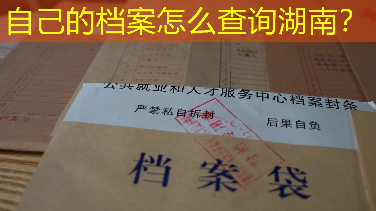 档案查询