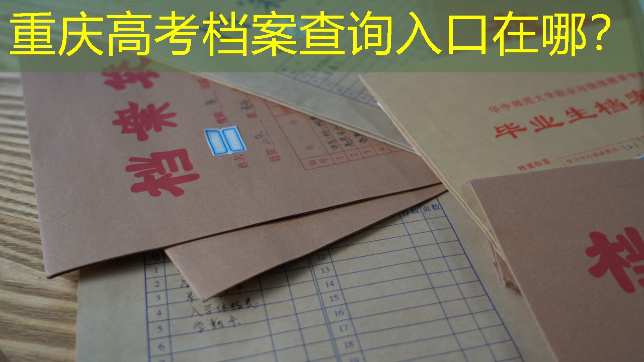 档案查询