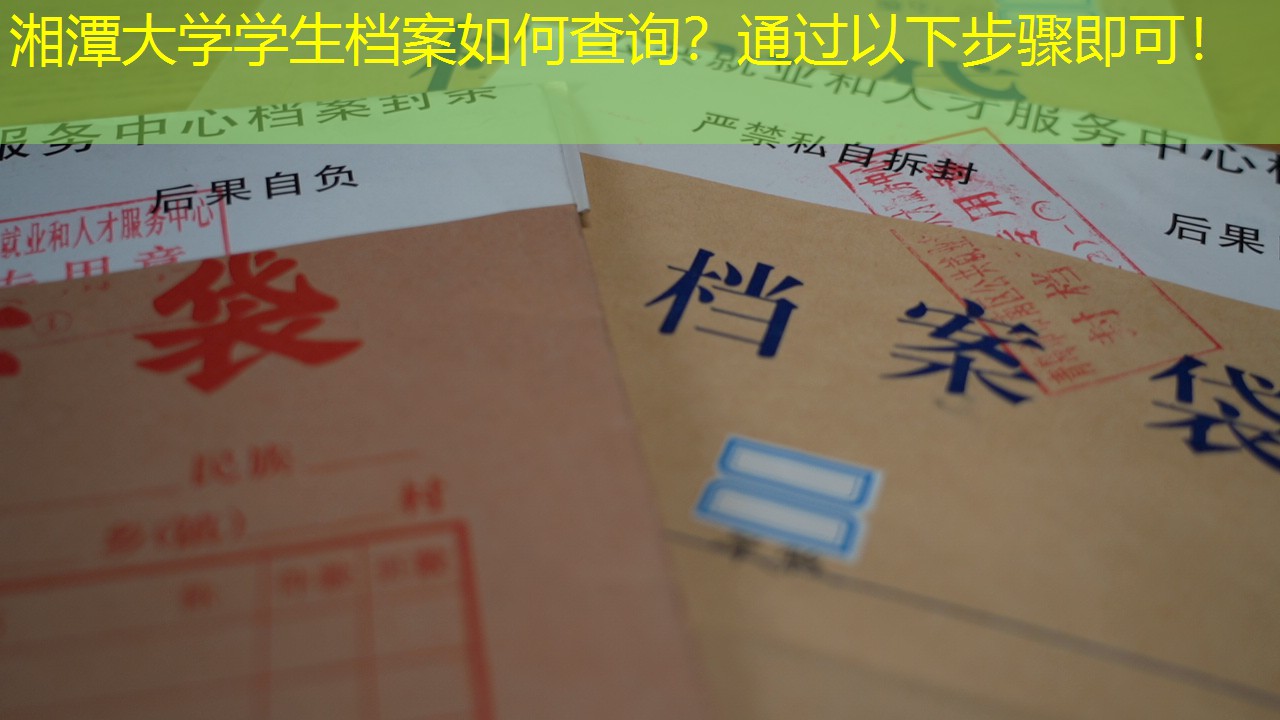 档案查询