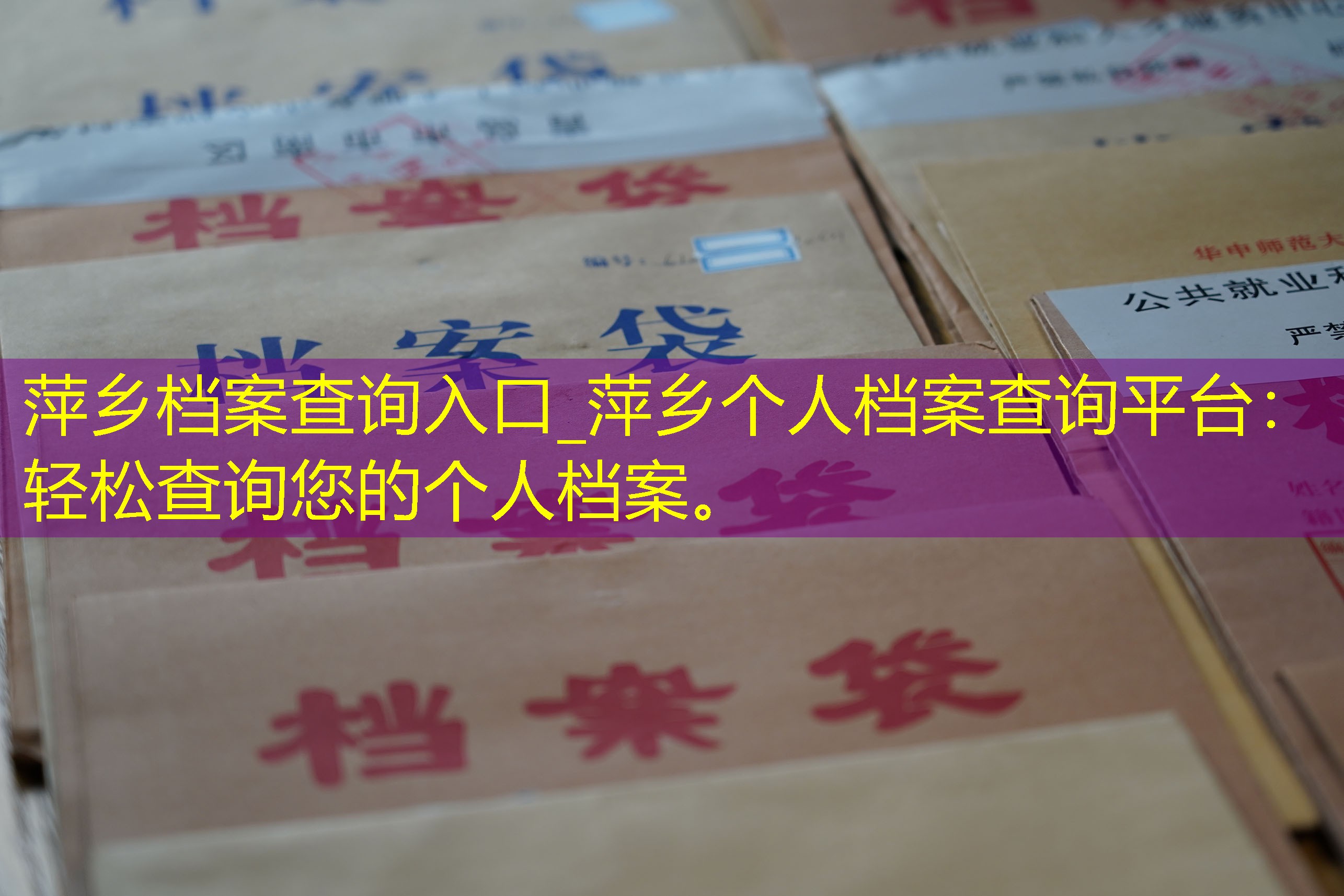 档案查询