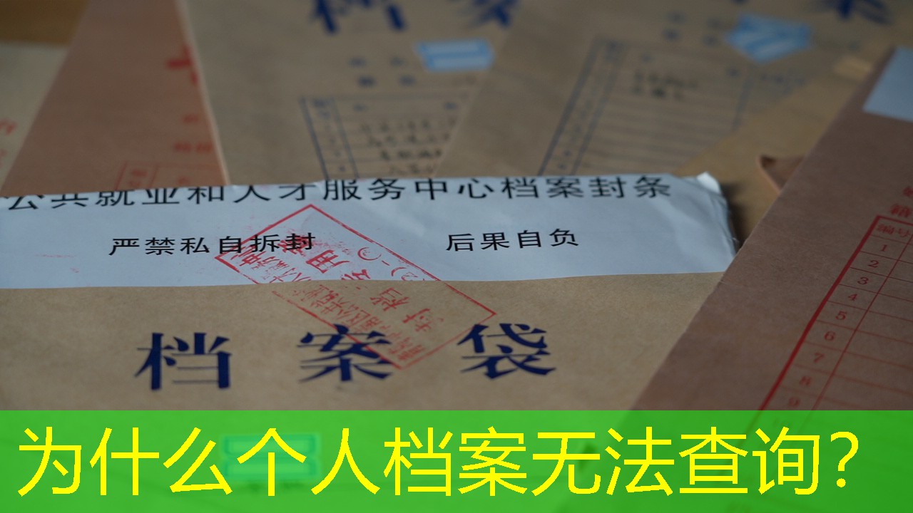 档案查询