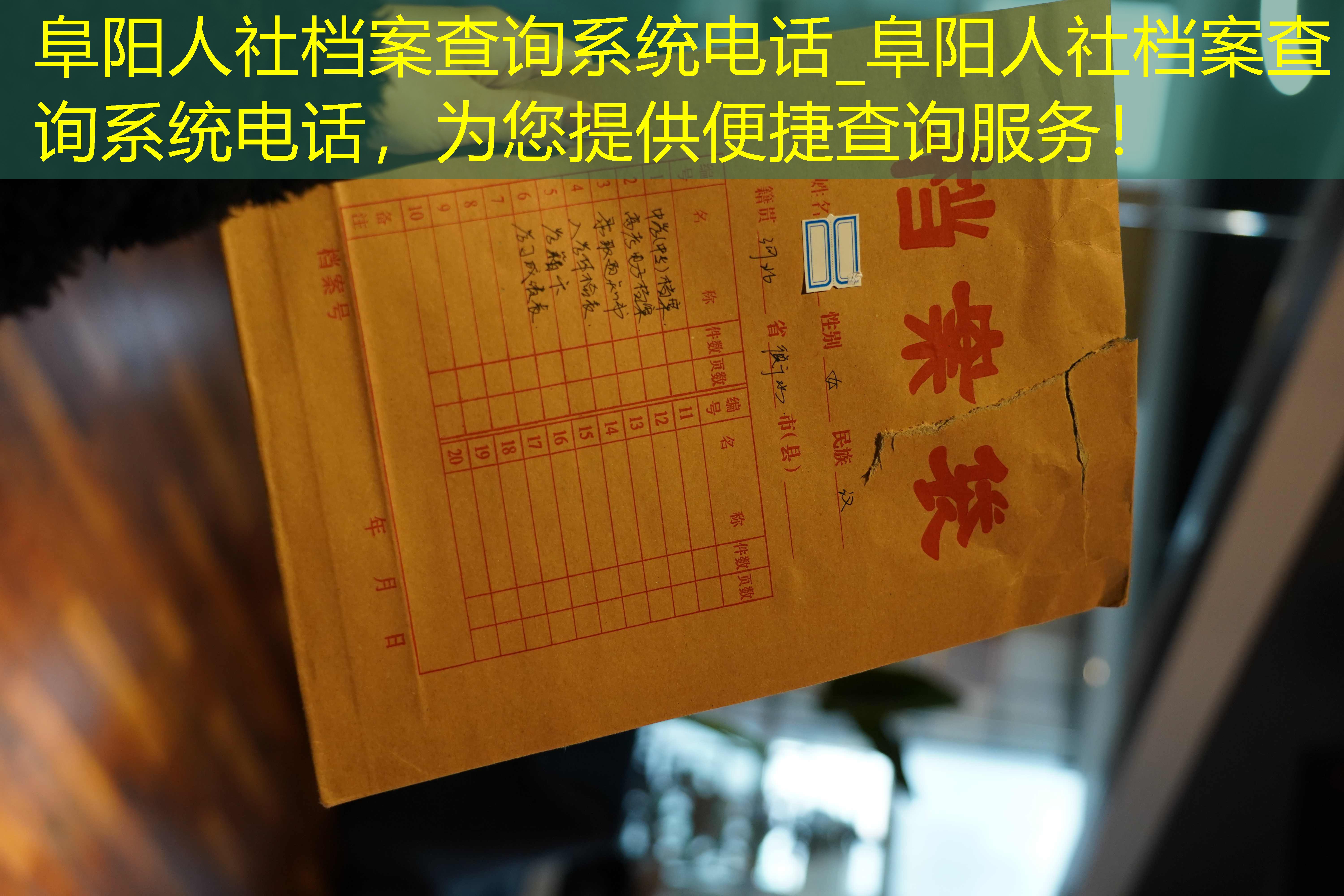 档案查询