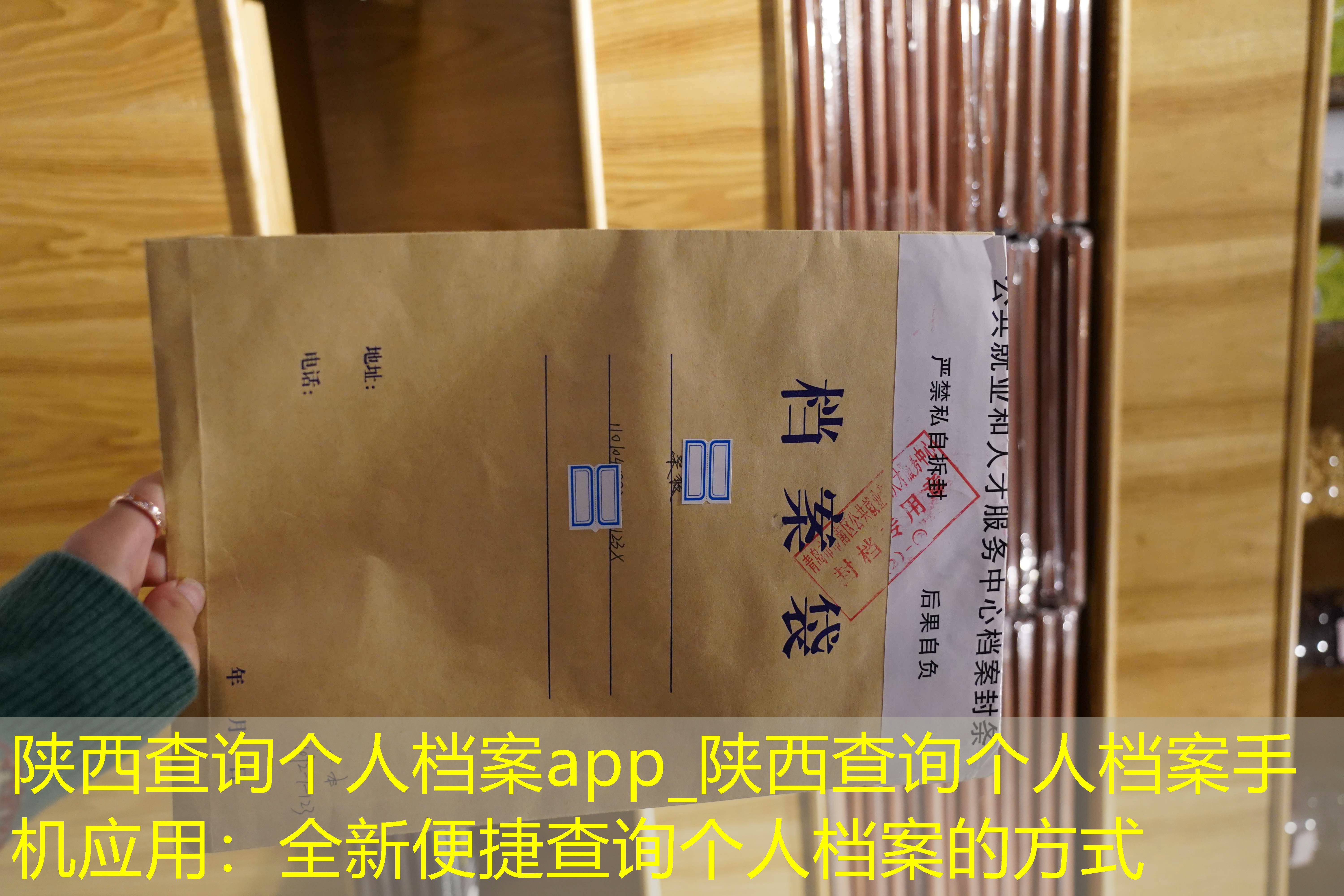 档案查询