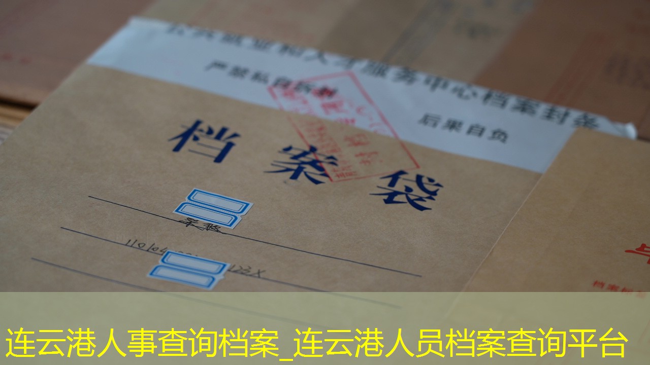 档案查询
