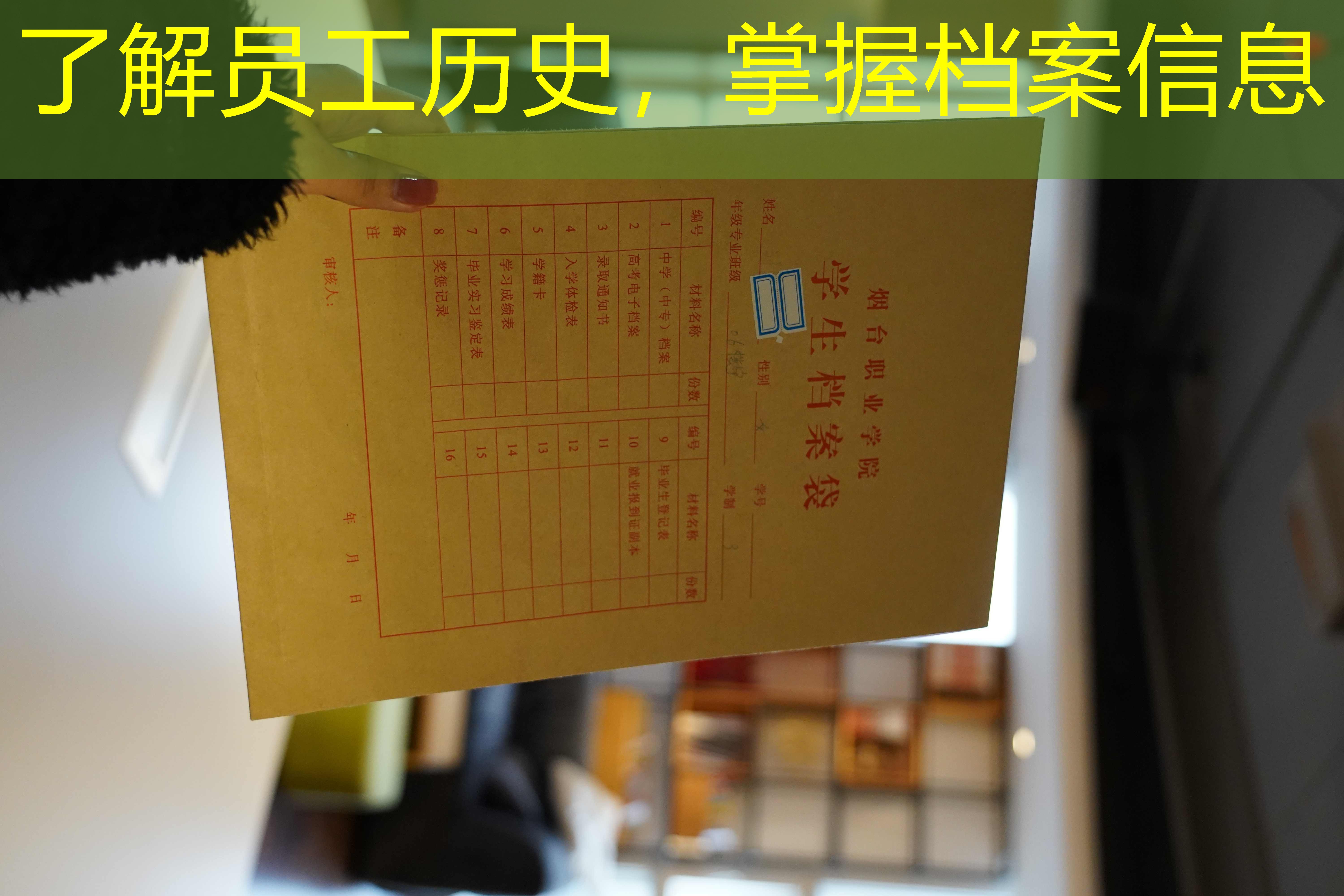 档案查询