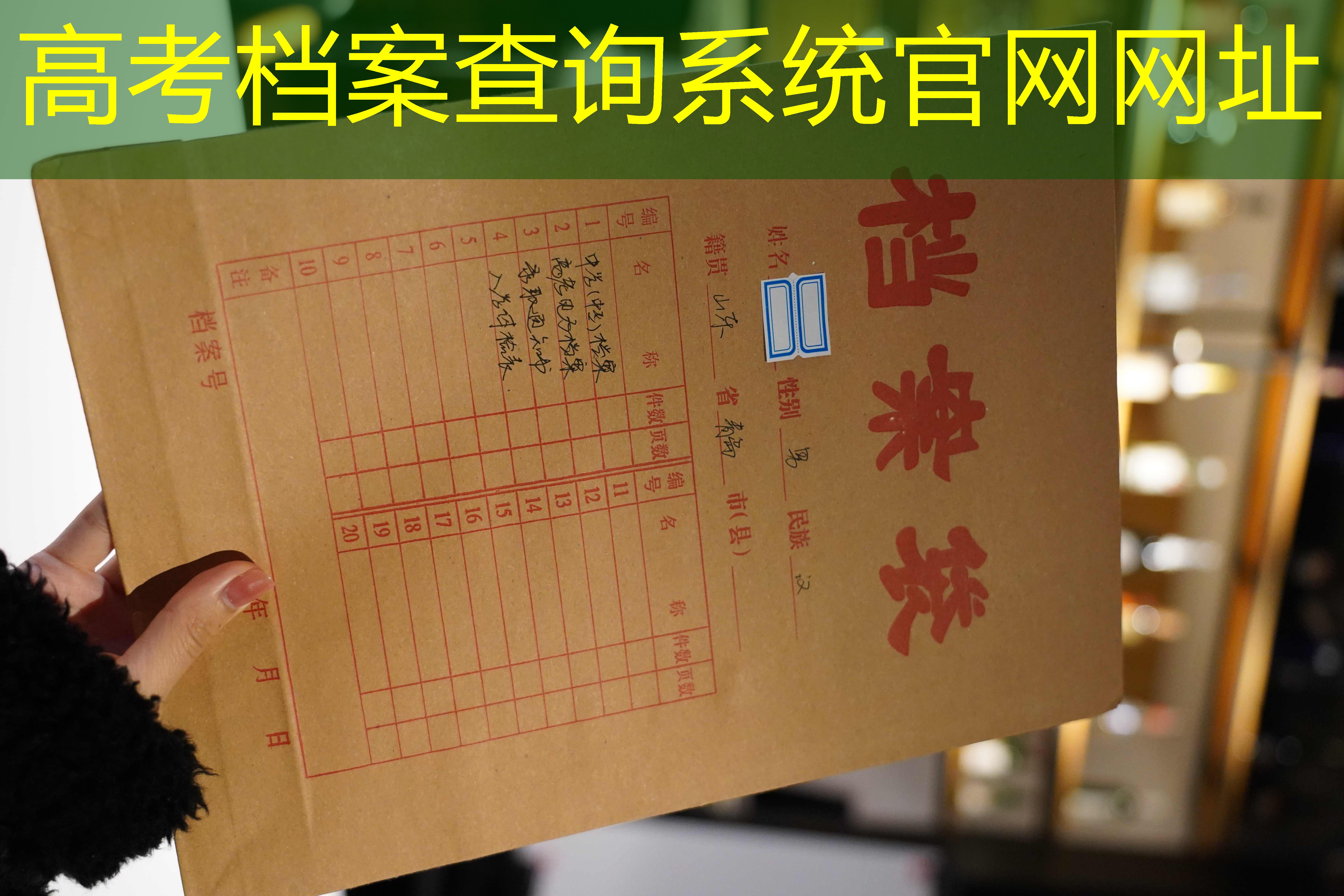 档案查询