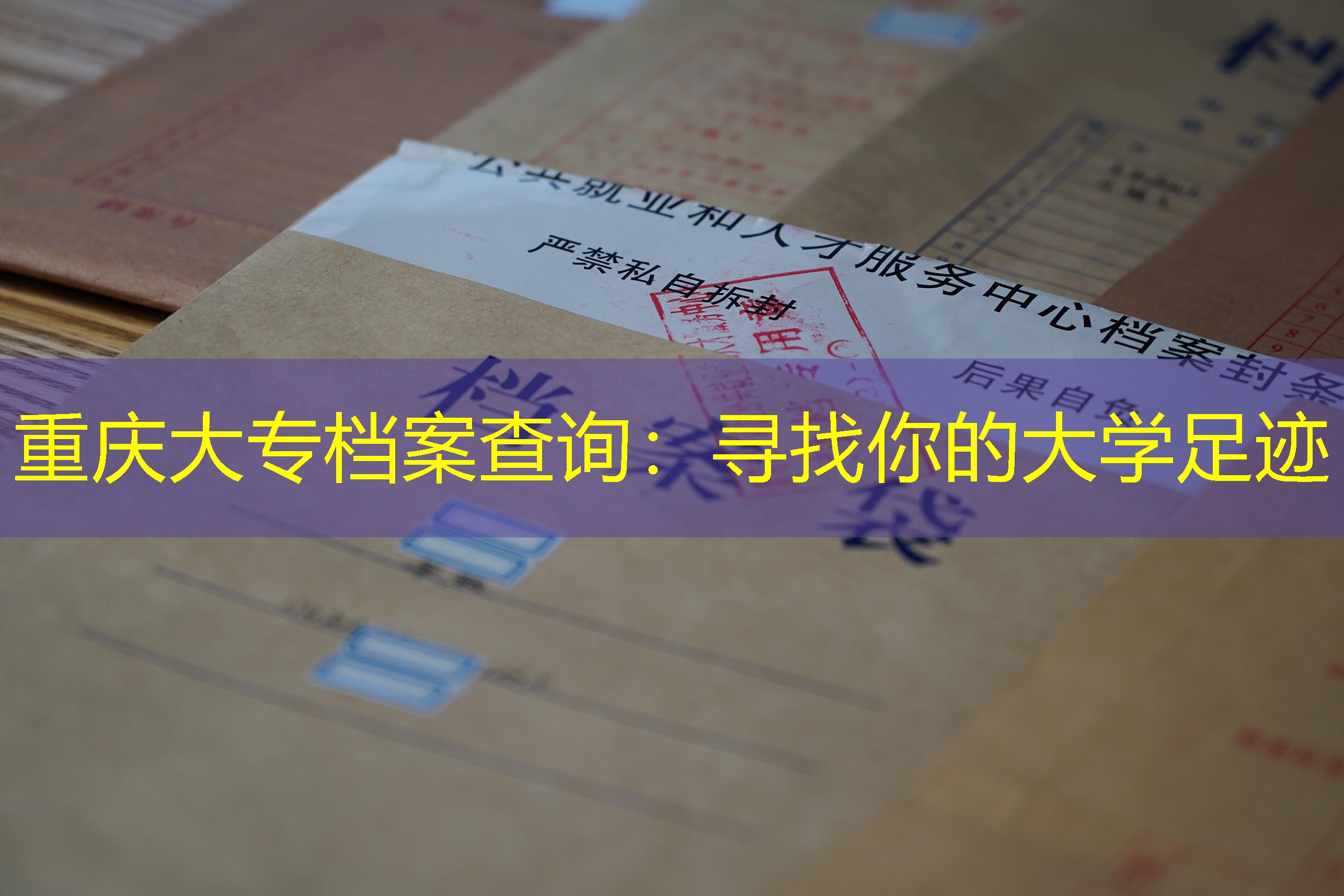 档案查询