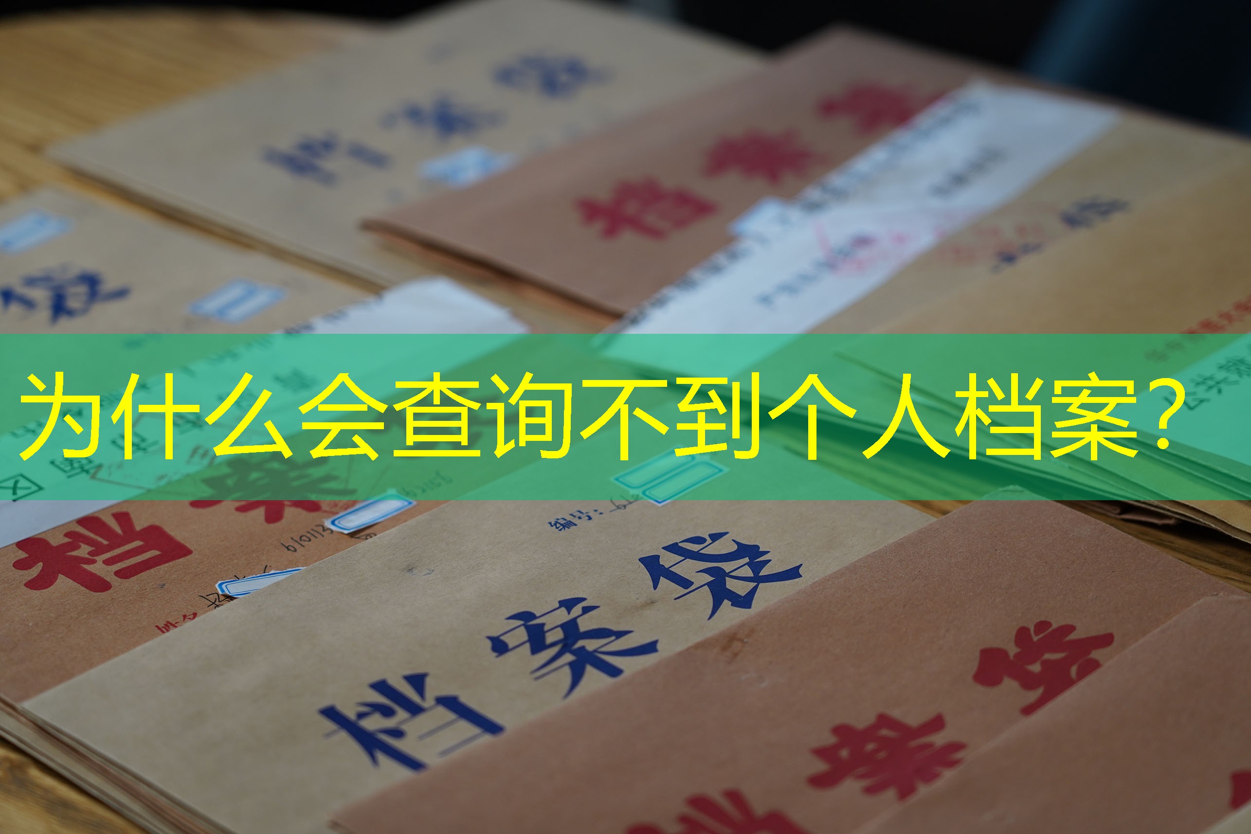 档案查询