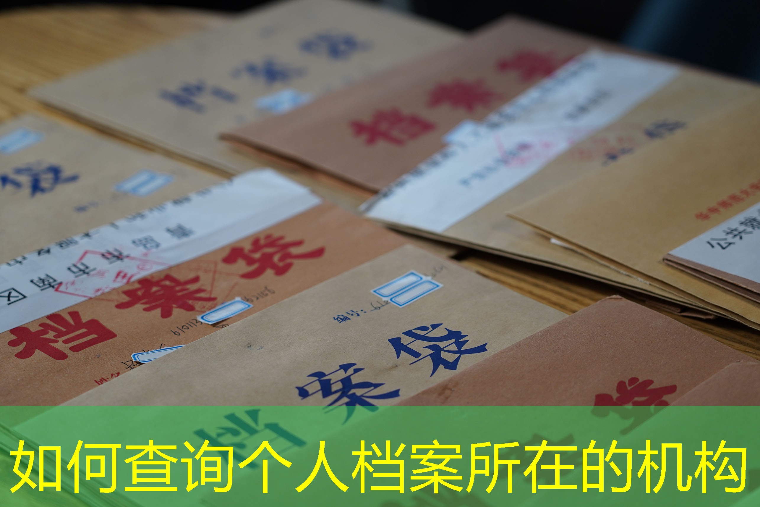 档案查询