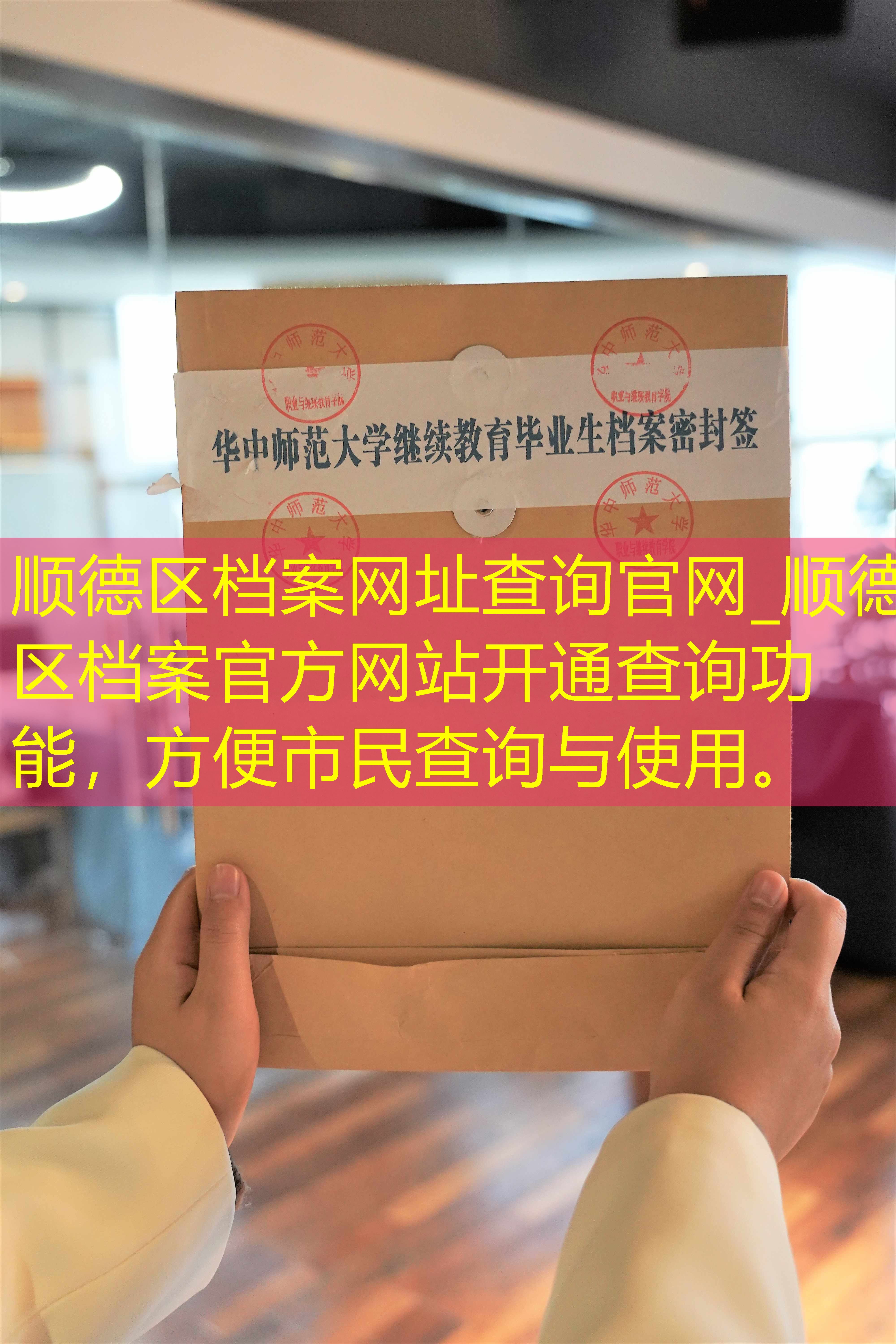 档案查询