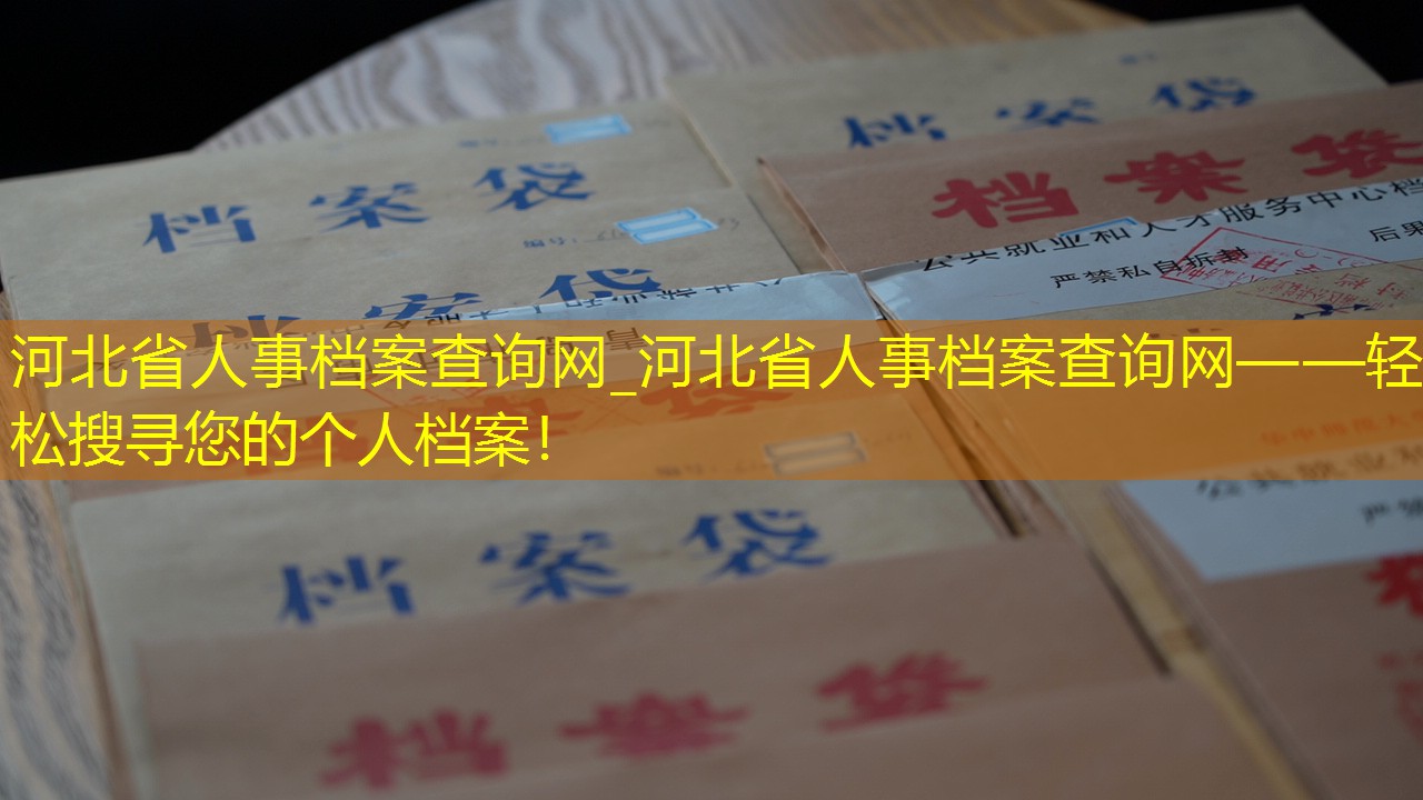档案查询
