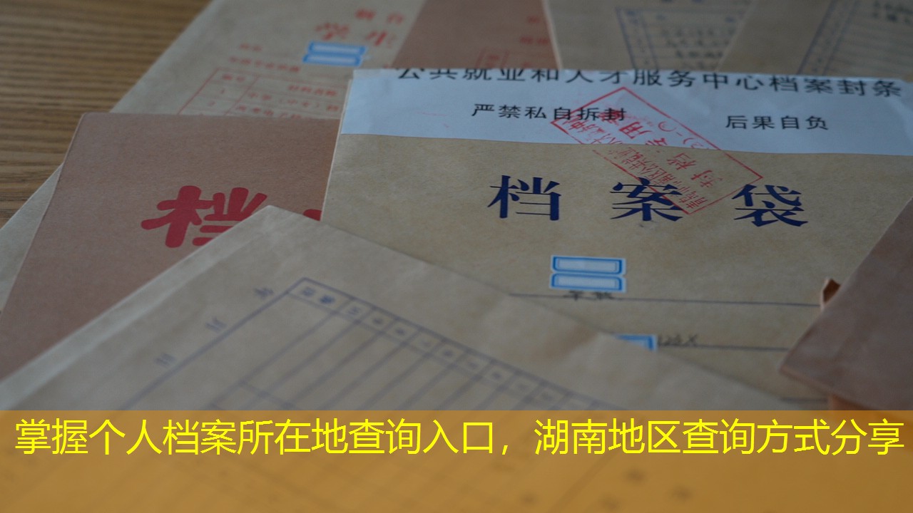 档案查询