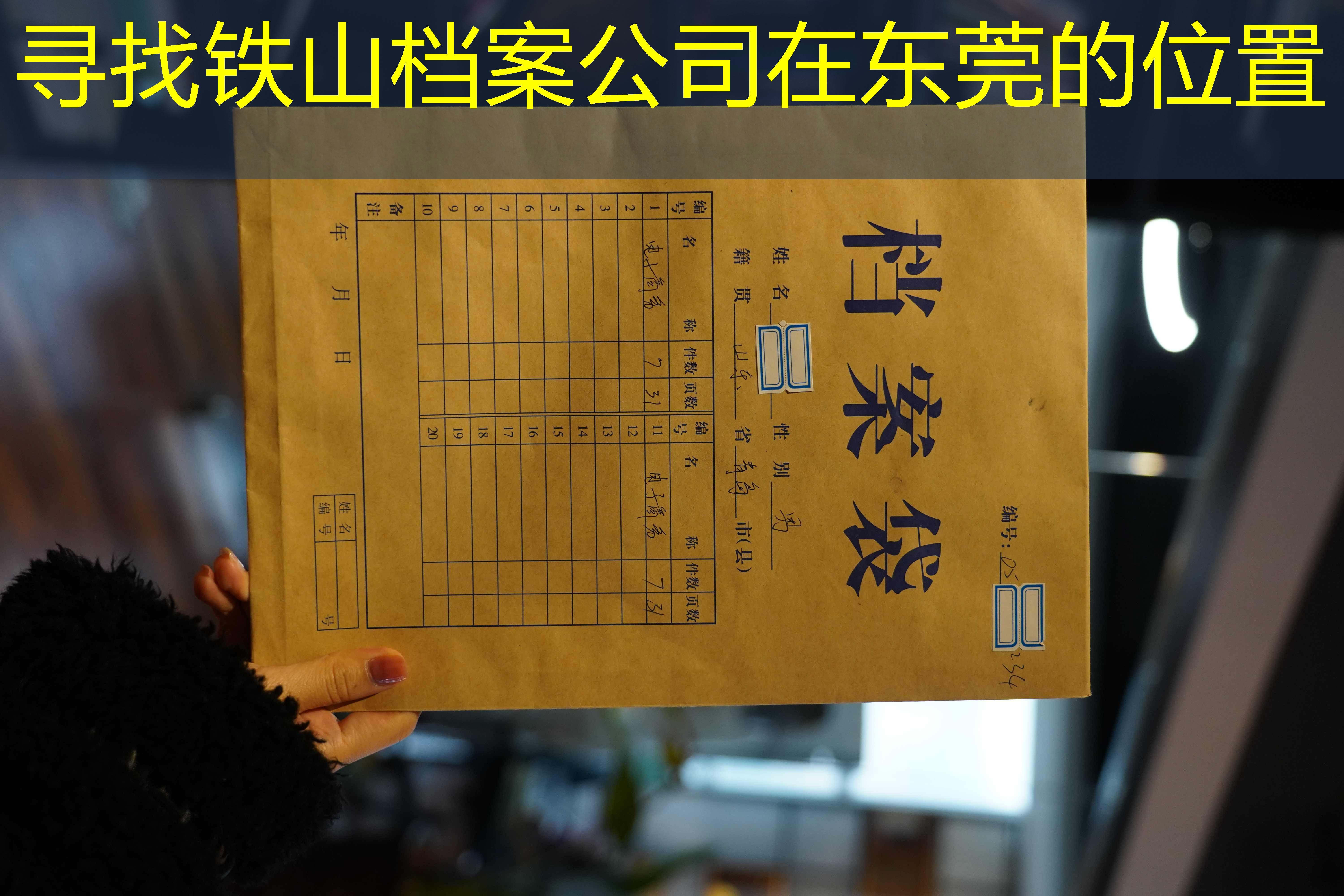 档案查询
