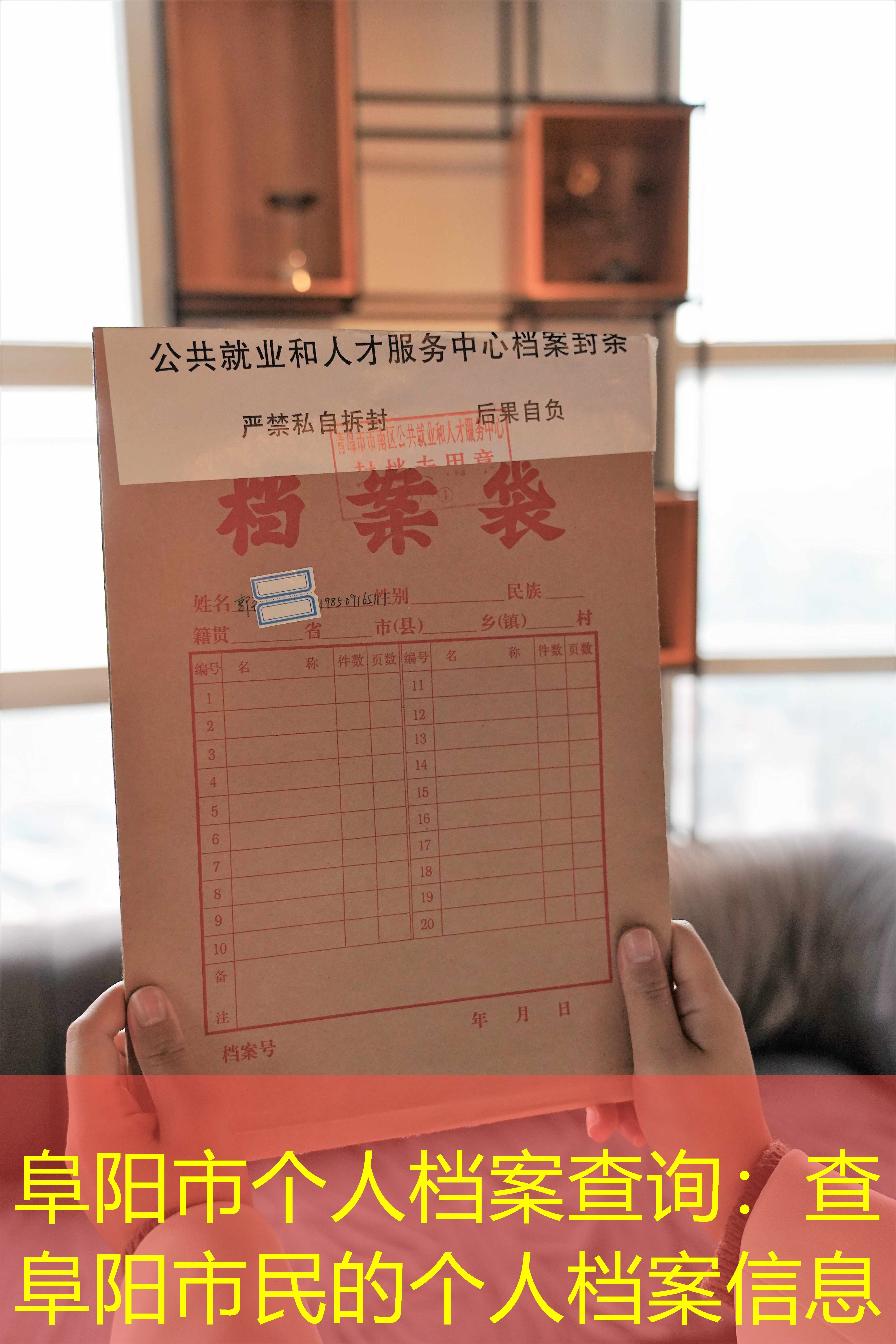 档案查询