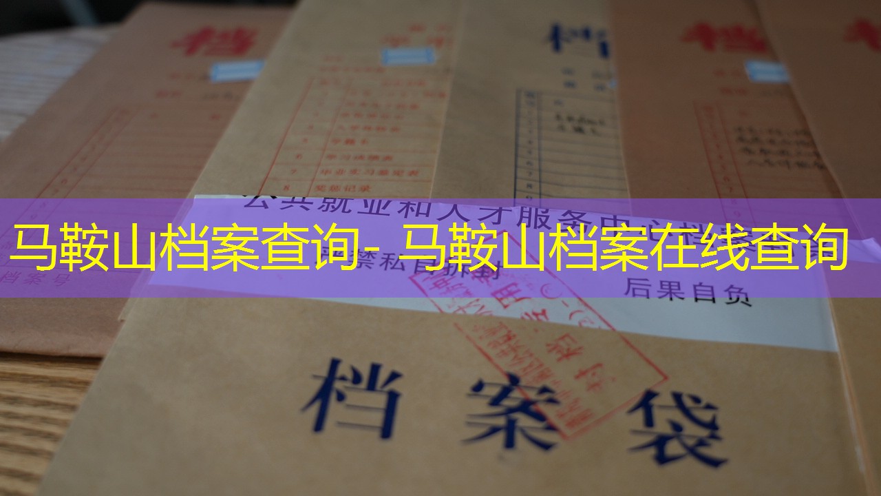 档案查询