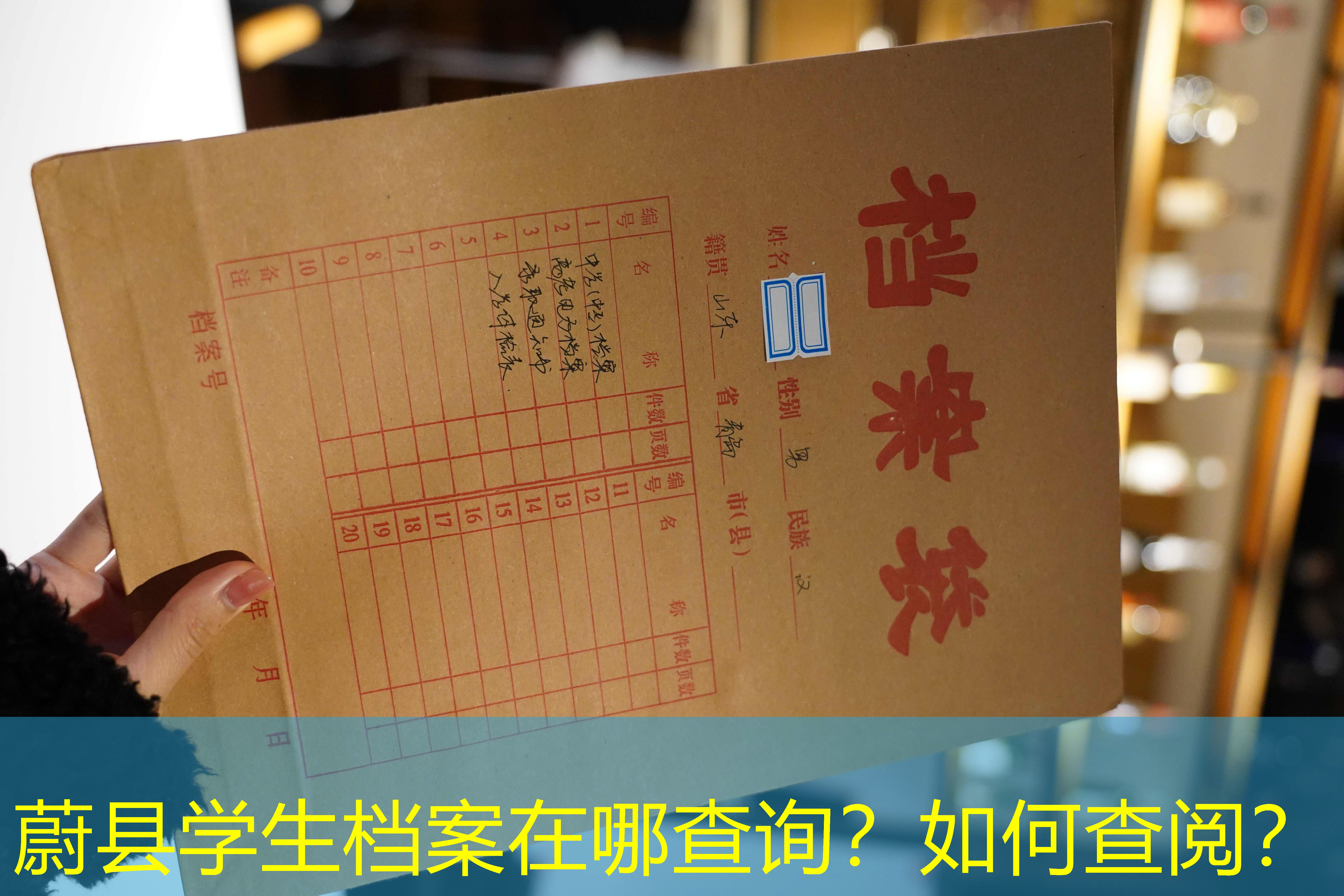 档案查询