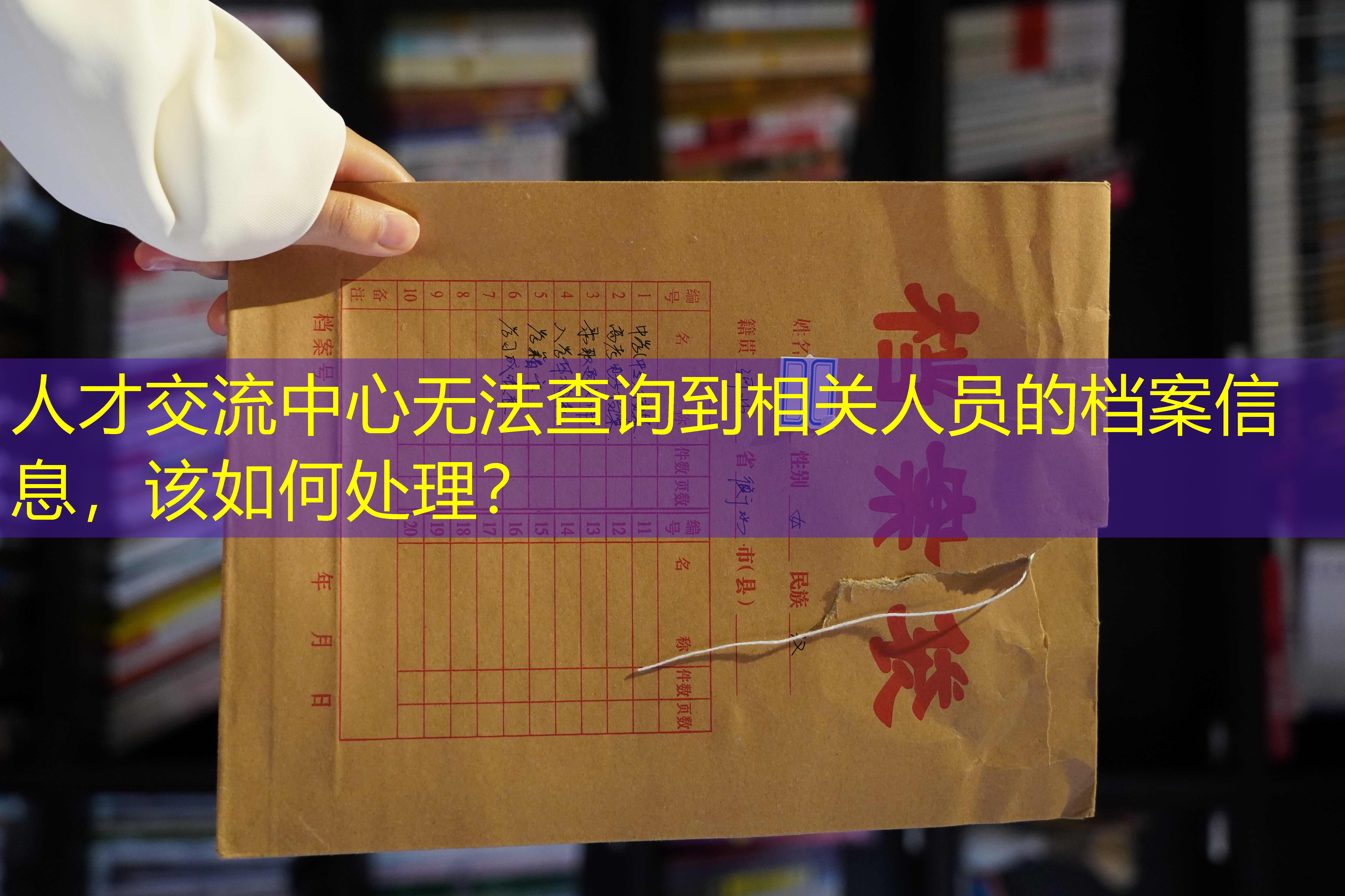 档案查询