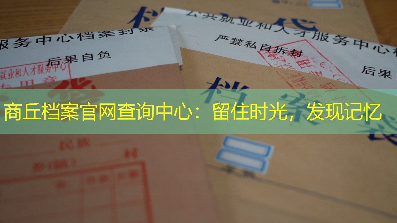 档案查询