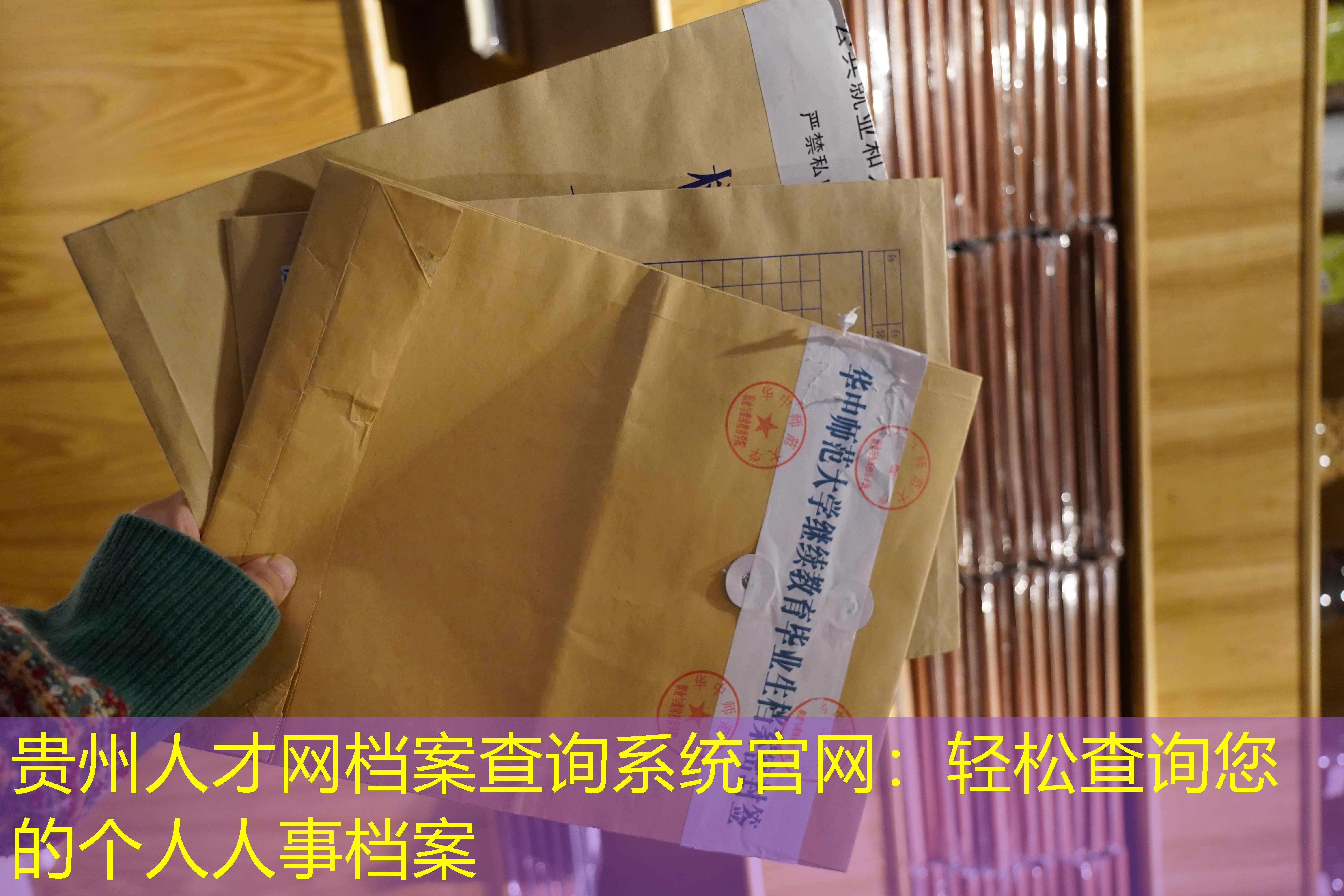 档案查询