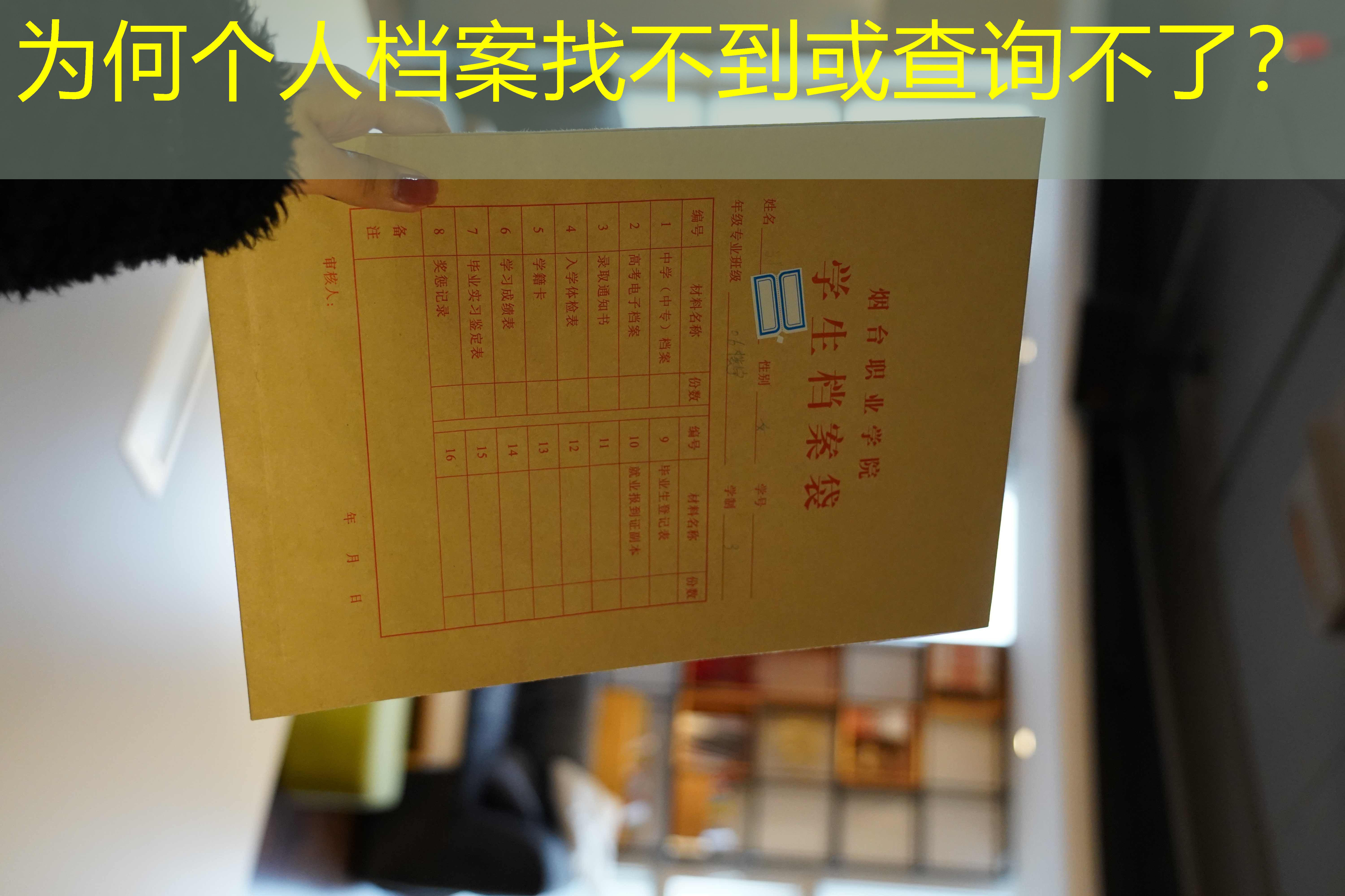 档案查询