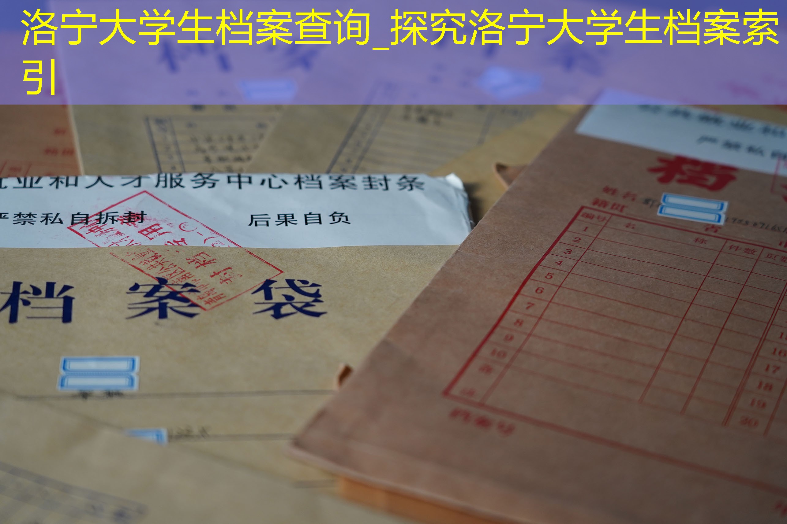 档案查询