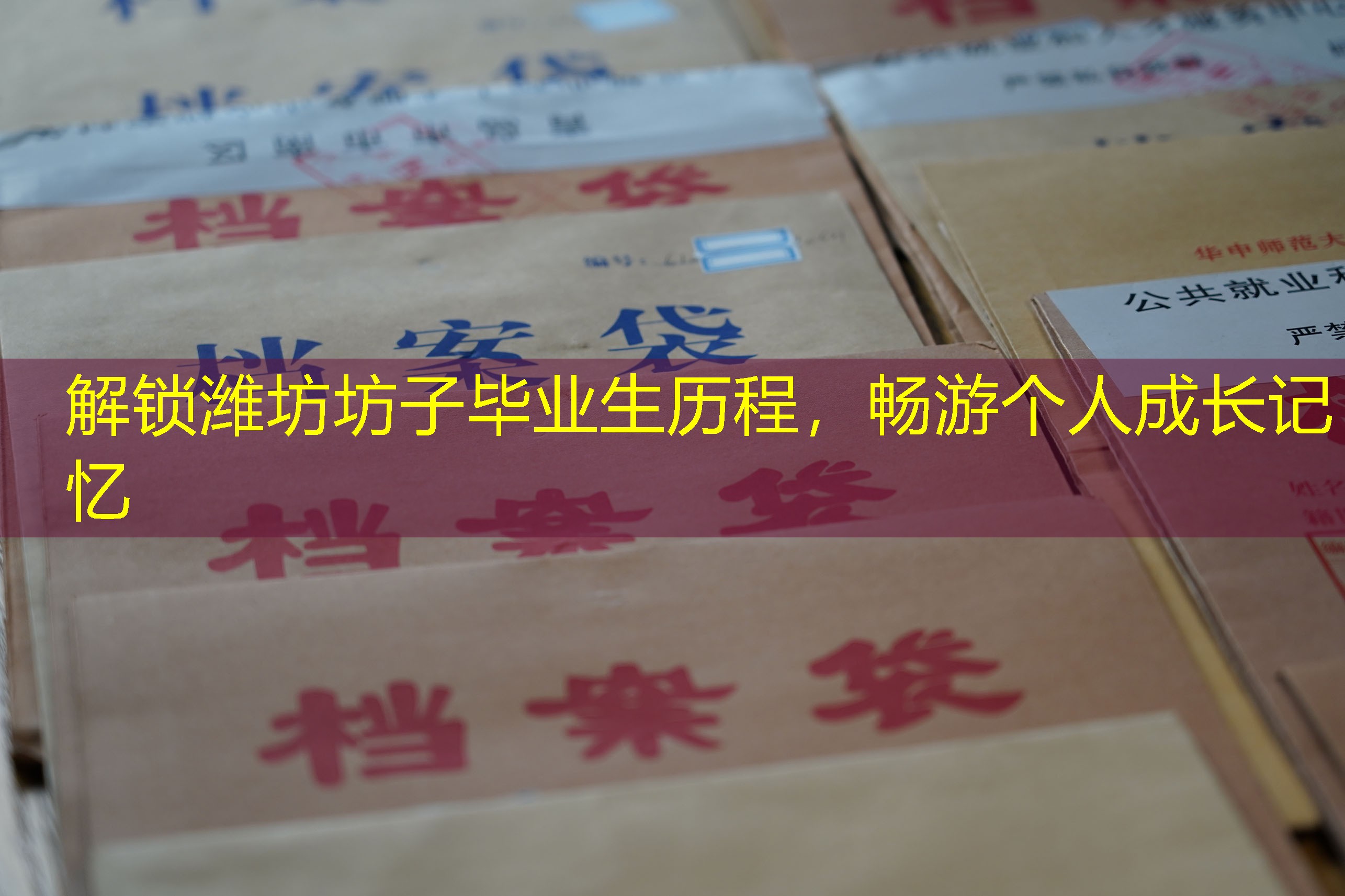 档案查询