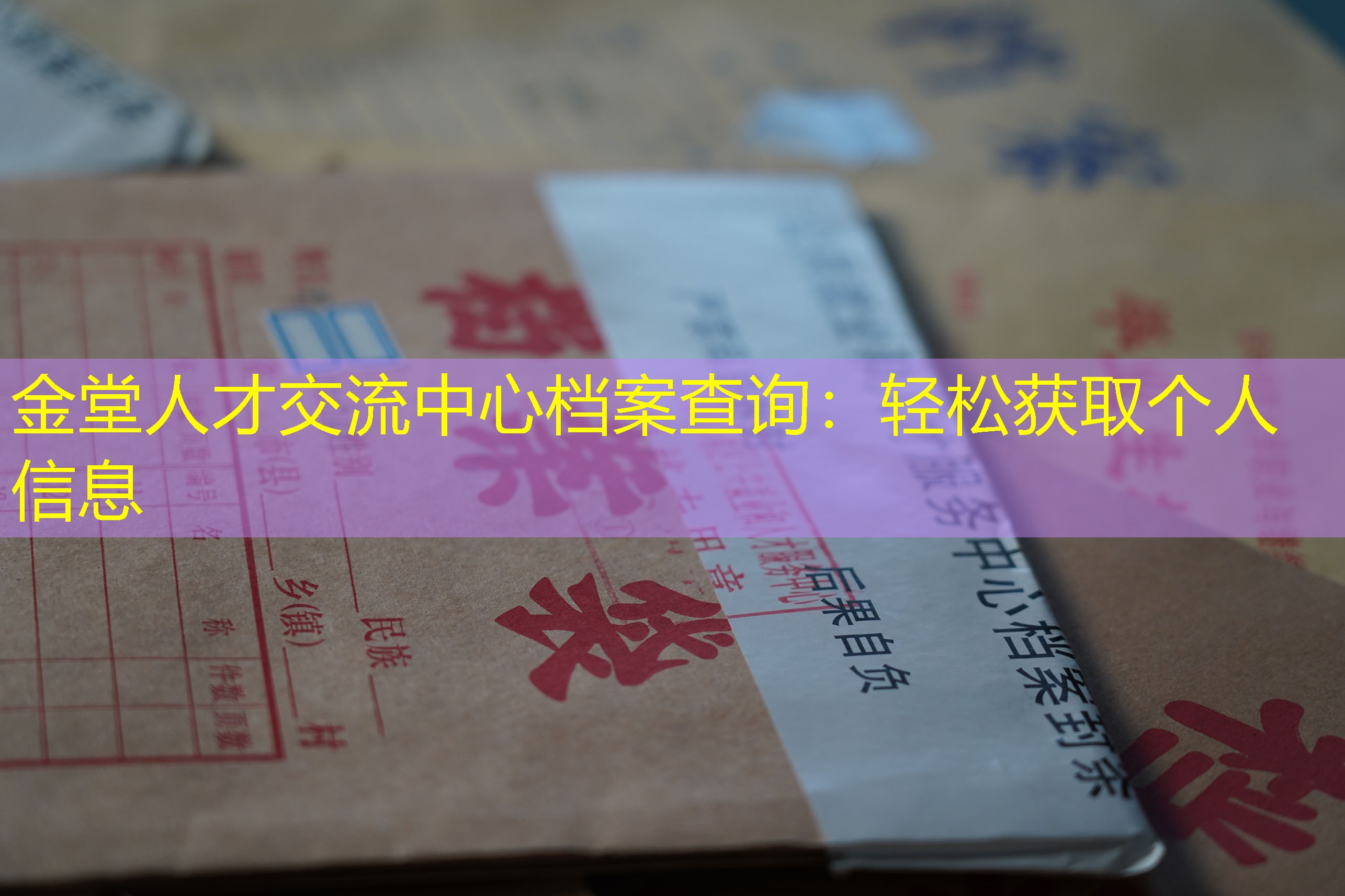 档案查询