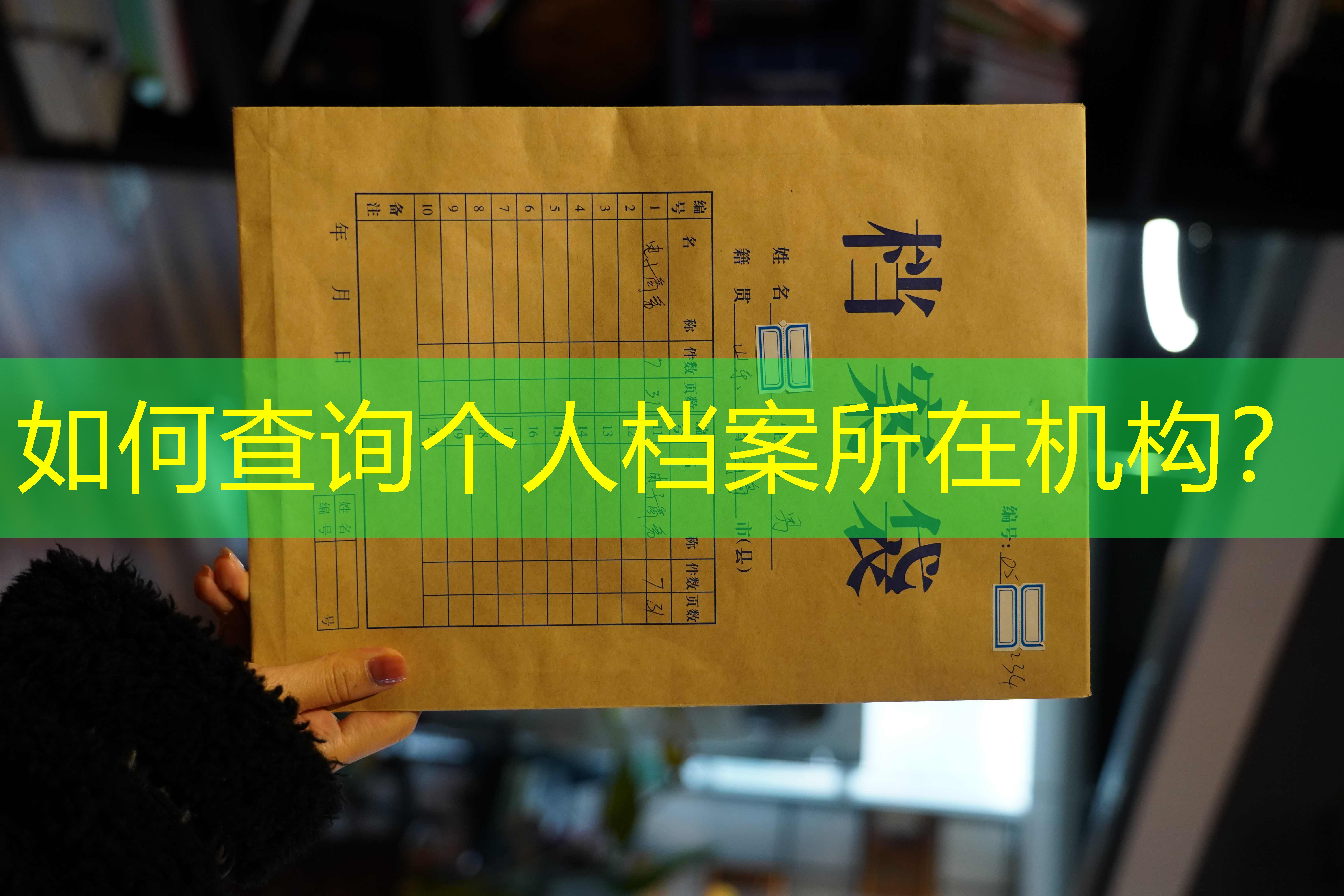 档案查询