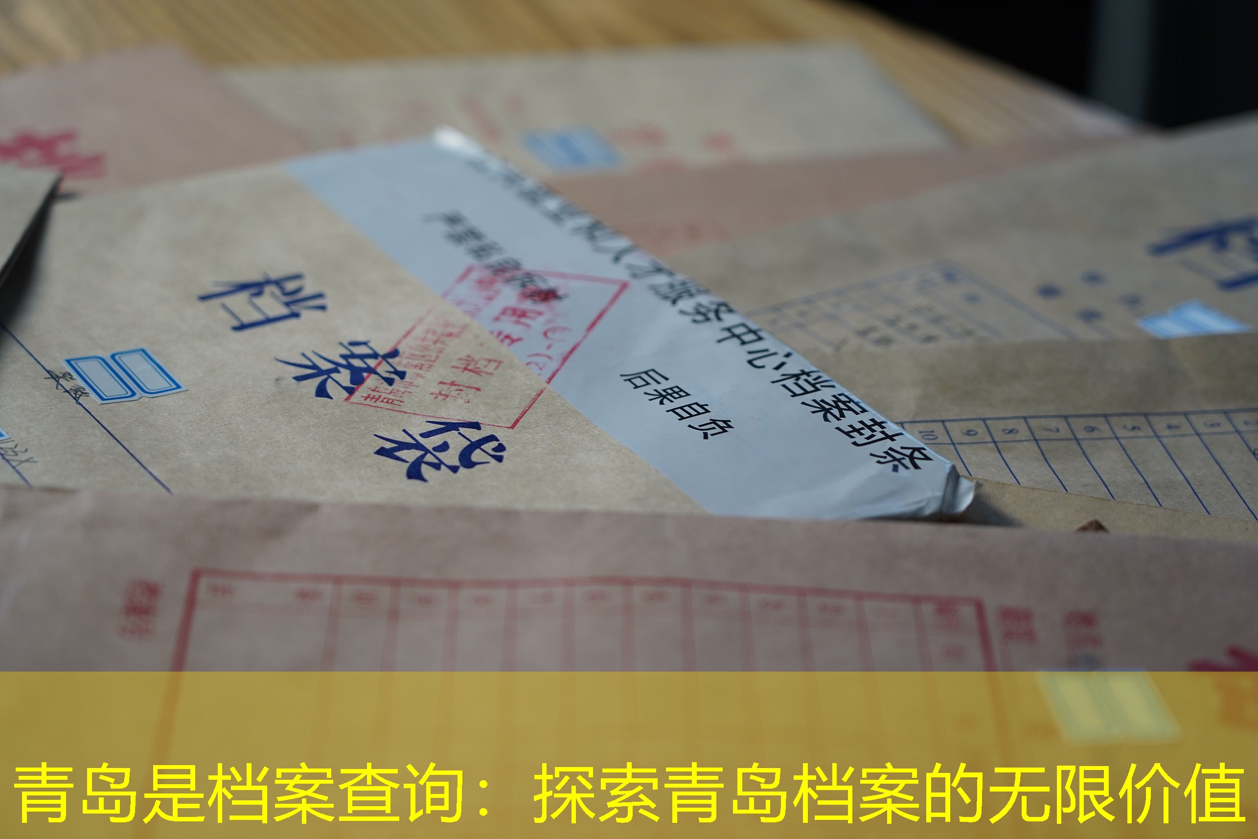 档案查询