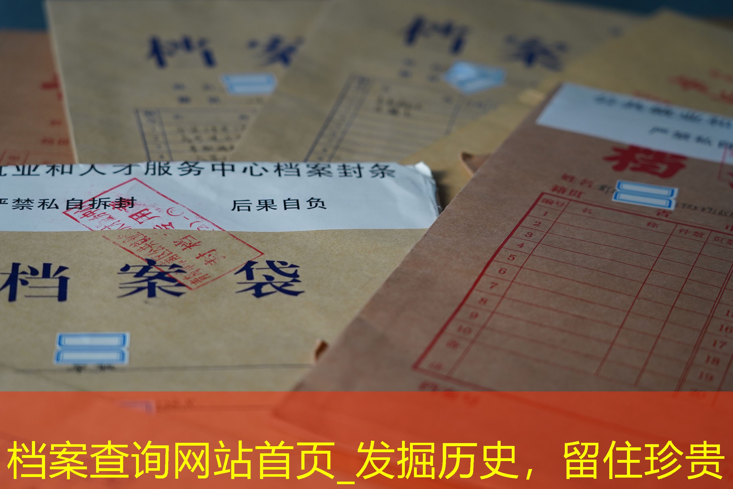 档案查询