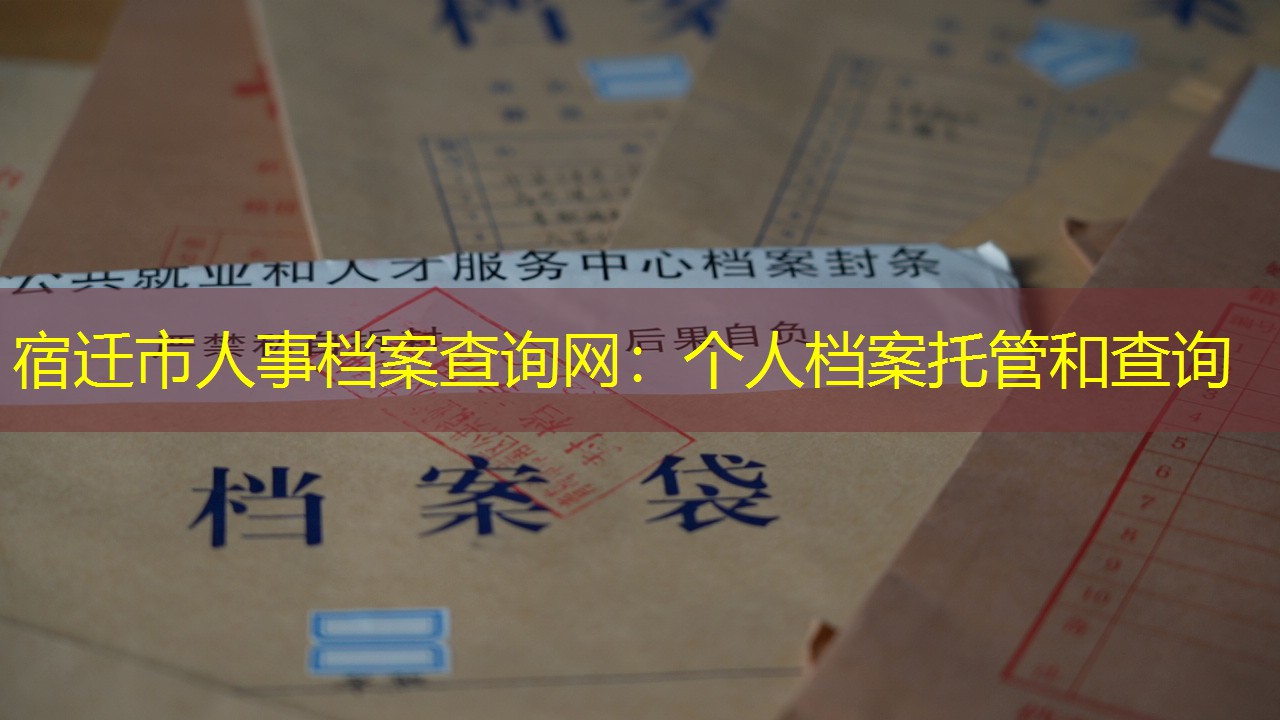 档案查询
